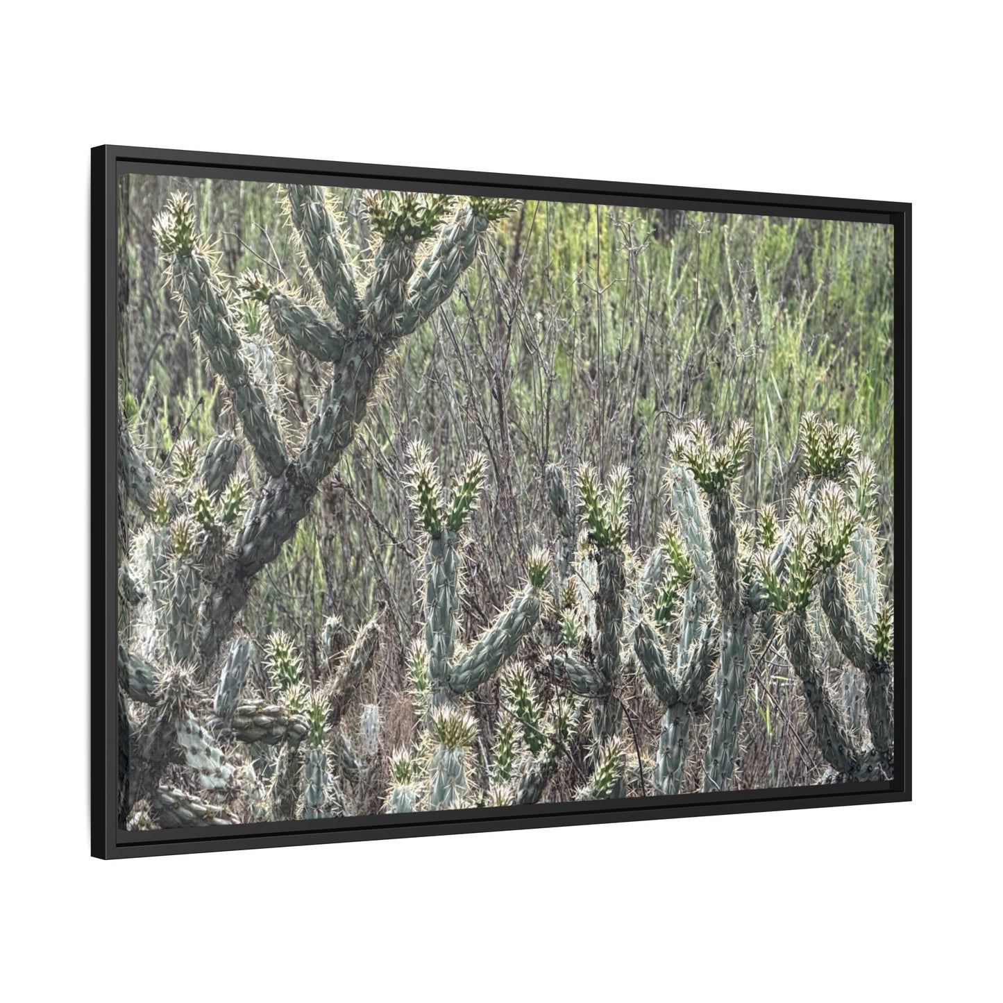 Prickly Paradise - Unique Stretched Canvas Wall Art