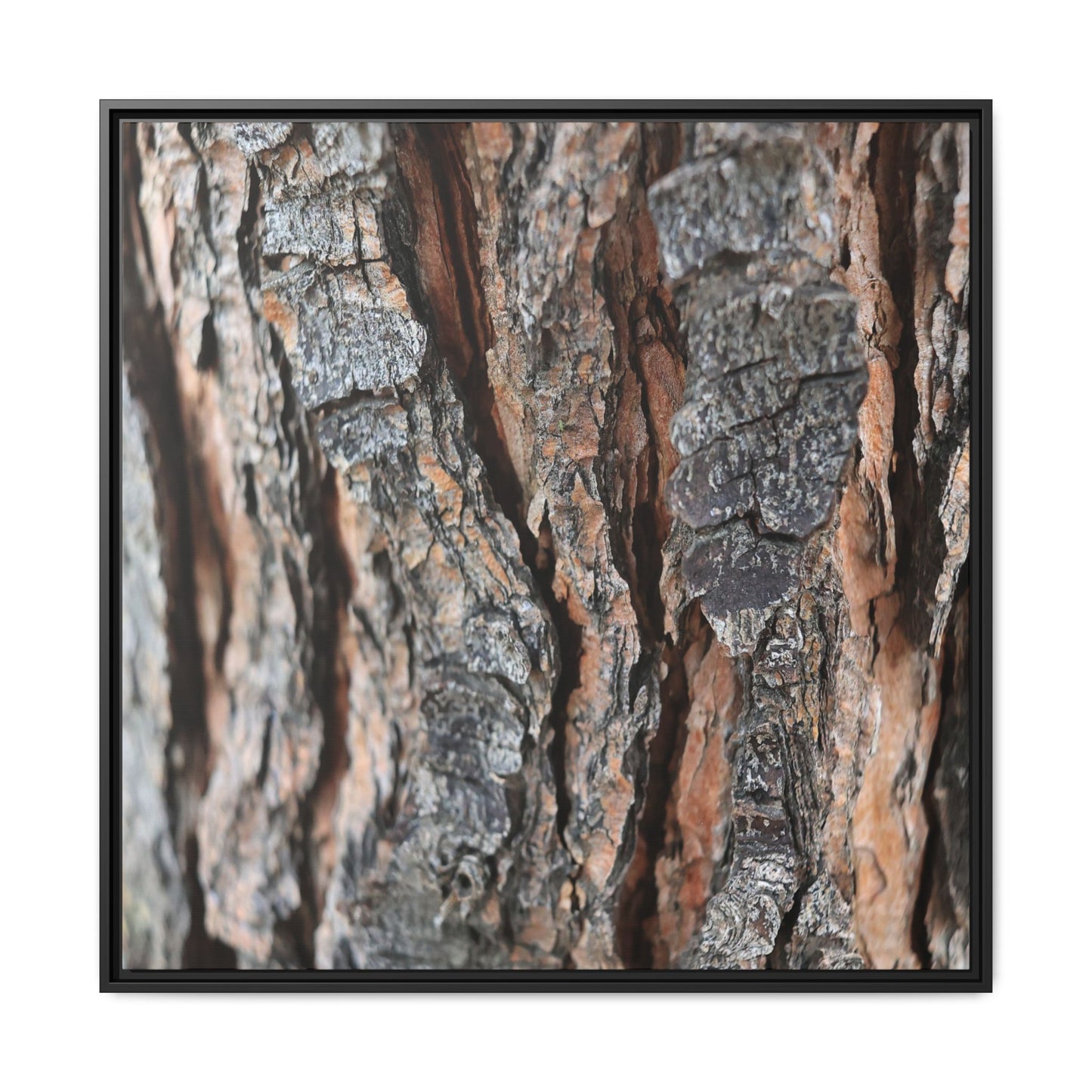 Fractured Nature - Unique Stretched Canvas Wall Art