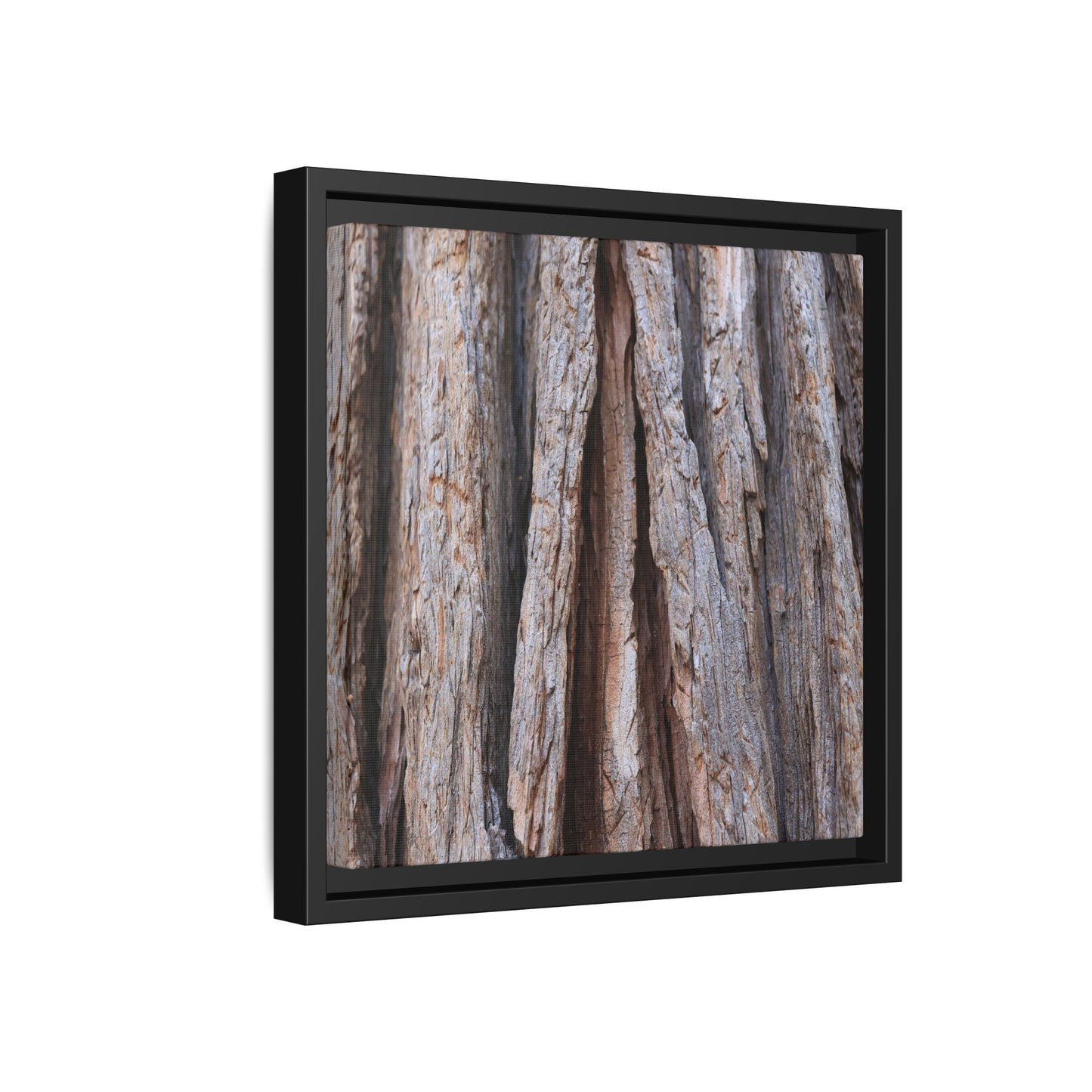Nature's Sculpture - Unique Stretched Canvas Wall Art