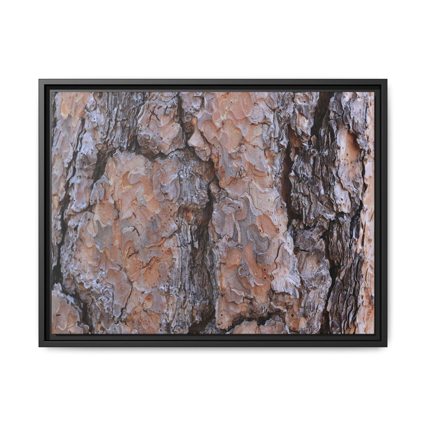 Tree Skin Symphony - Unique Stretched Canvas Wall Art