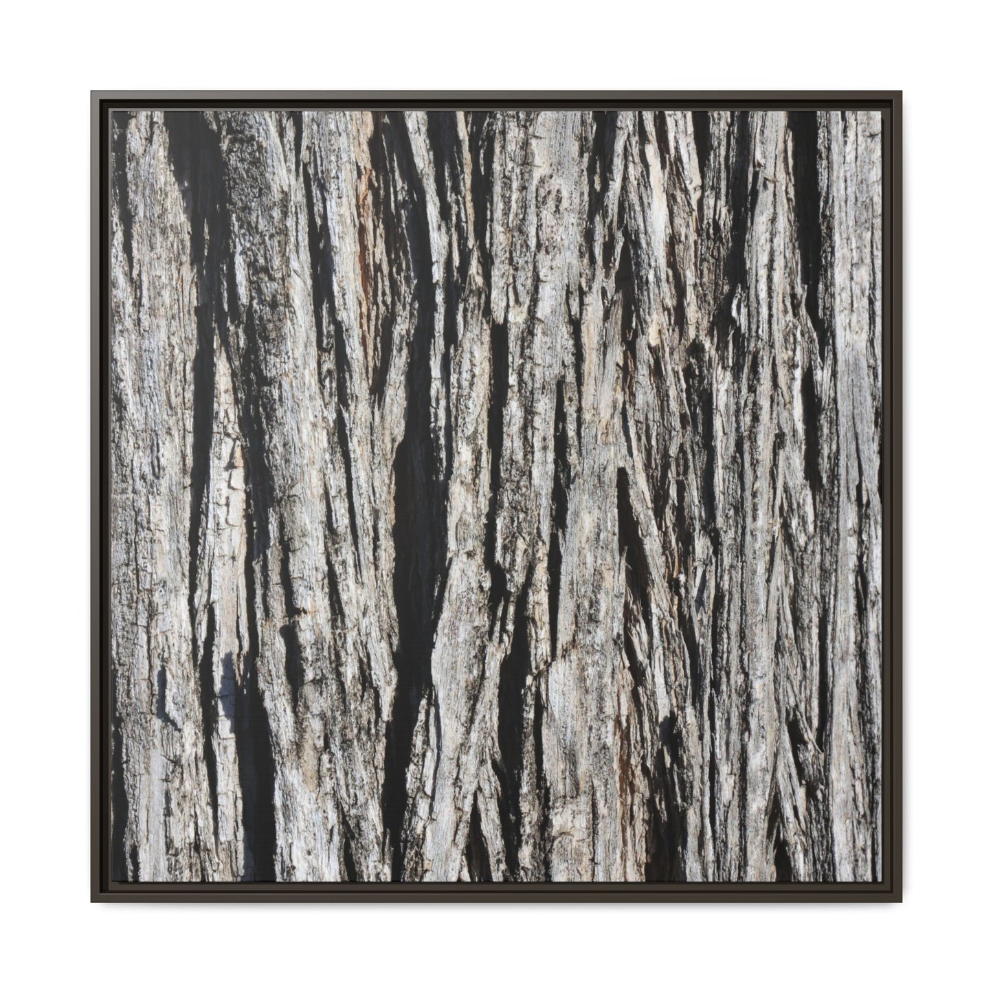 Bark Lines - Unique Stretched Canvas Wall Art