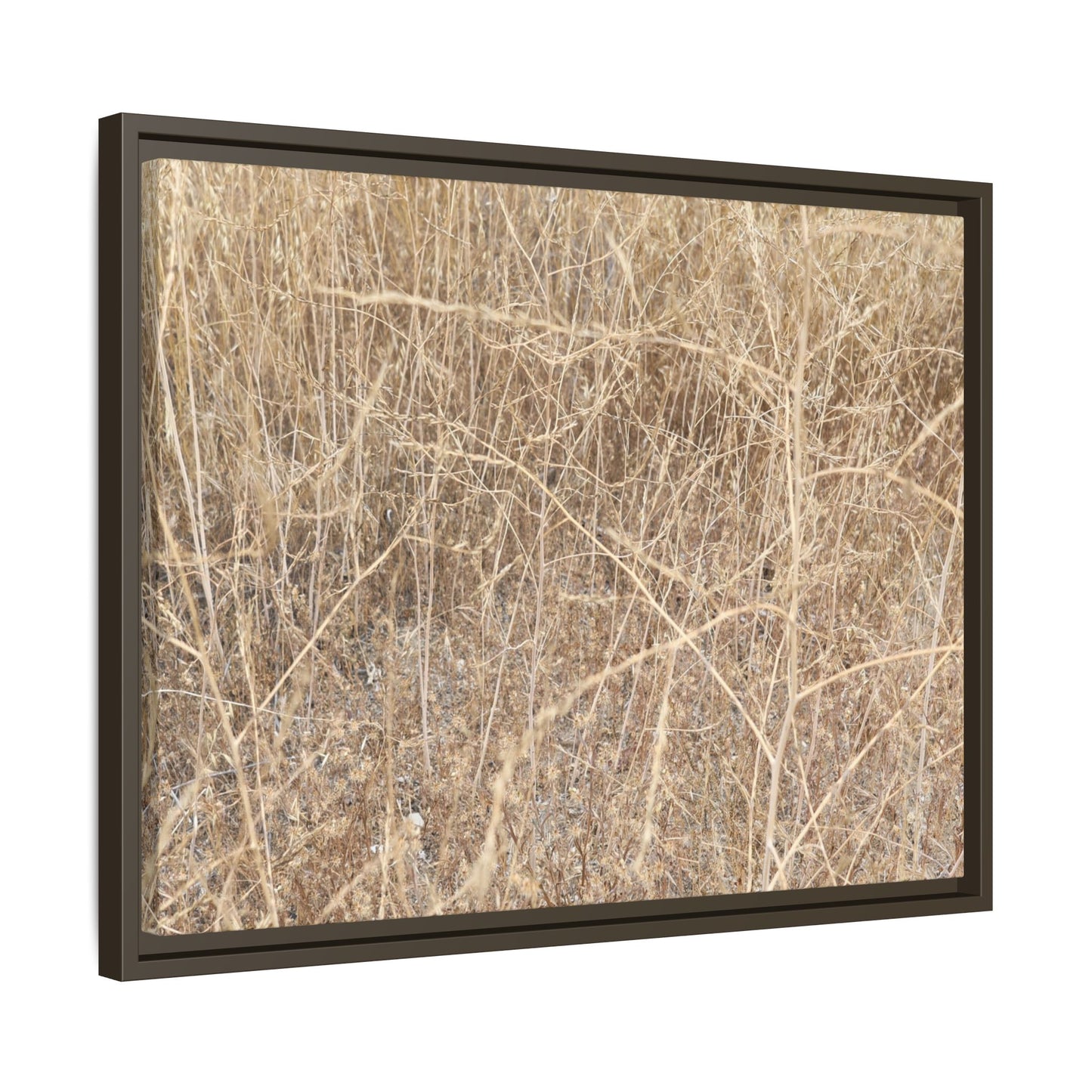 Golden Stalks - Unique Stretched Canvas Wall Art