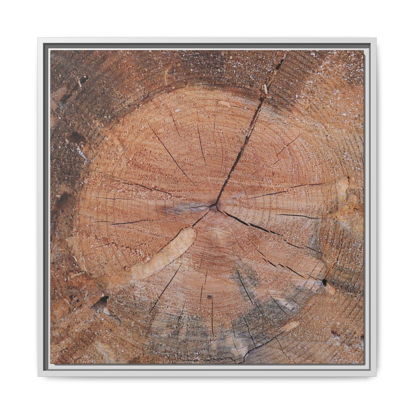 Concentric Memories - Unique Stretched Canvas Wall Art