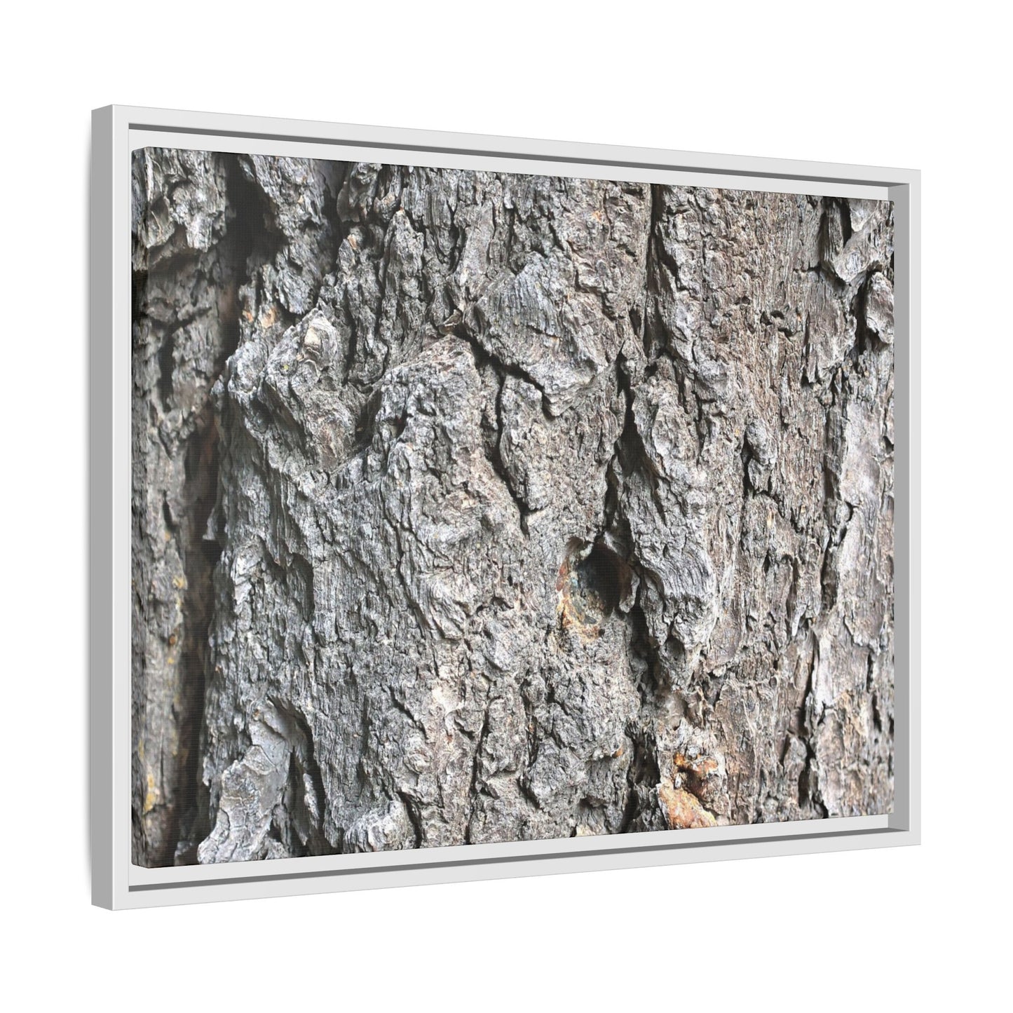 Crusty Exterior - Unique Stretched Canvas Wall Art