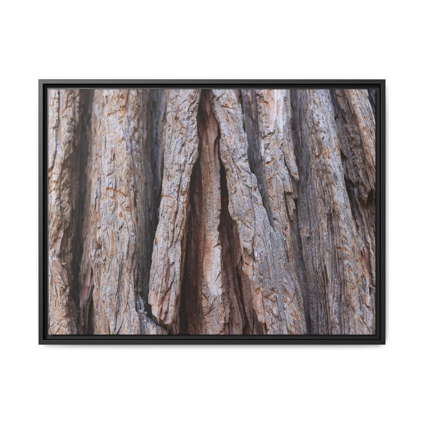 Nature's Sculpture - Unique Stretched Canvas Wall Art