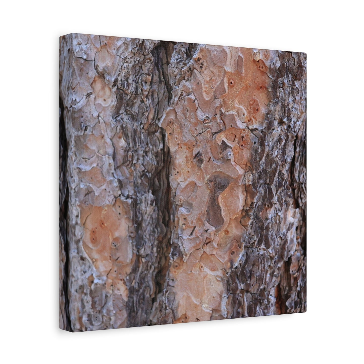 Terracotta Textures - Unique Frameless Canvas Wall Art