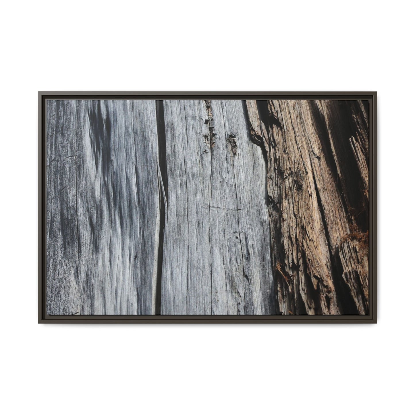 Wood's Lament - Unique Stretched Canvas Wall Art