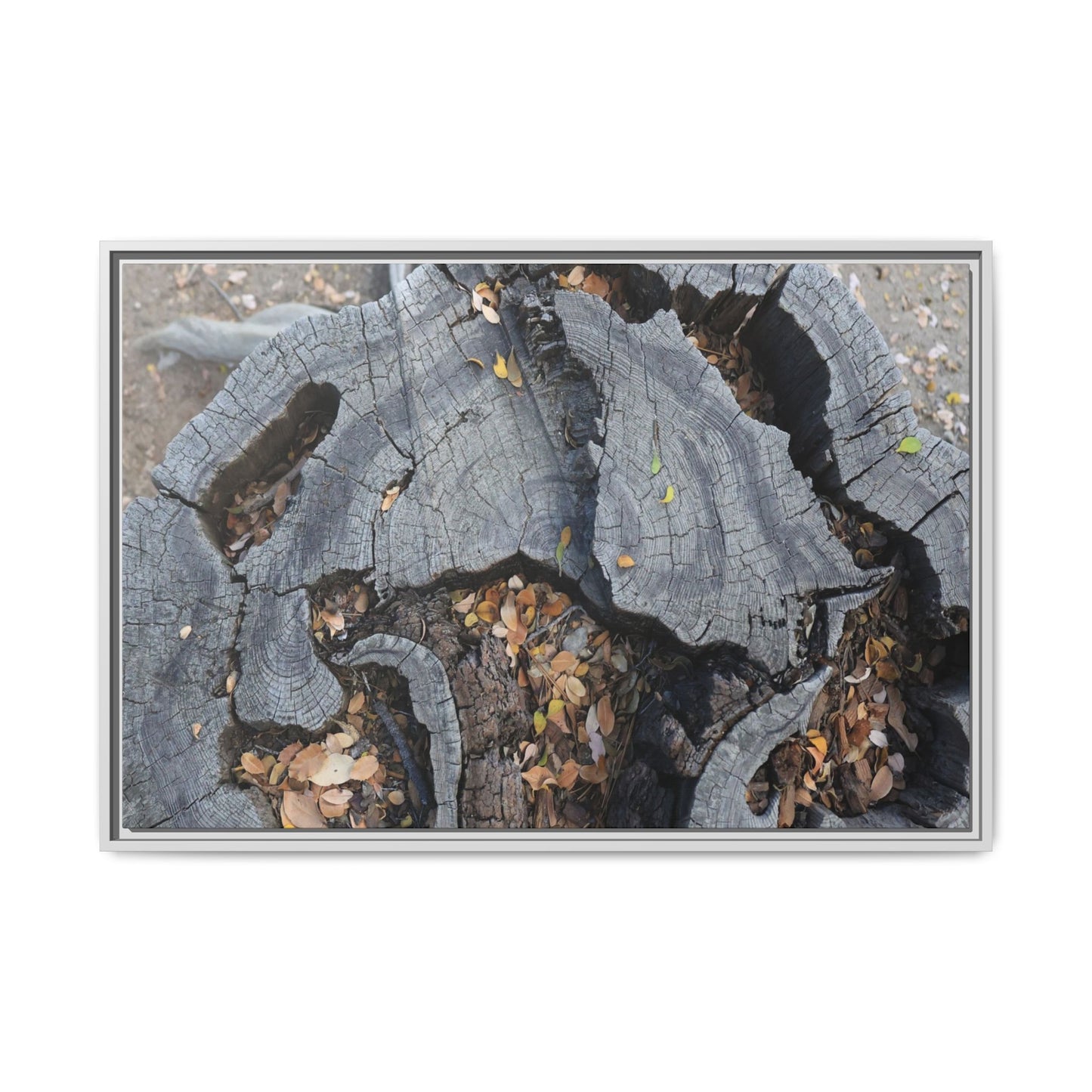 Time's Fractal Memory - Unique Stretched Canvas Wall Art
