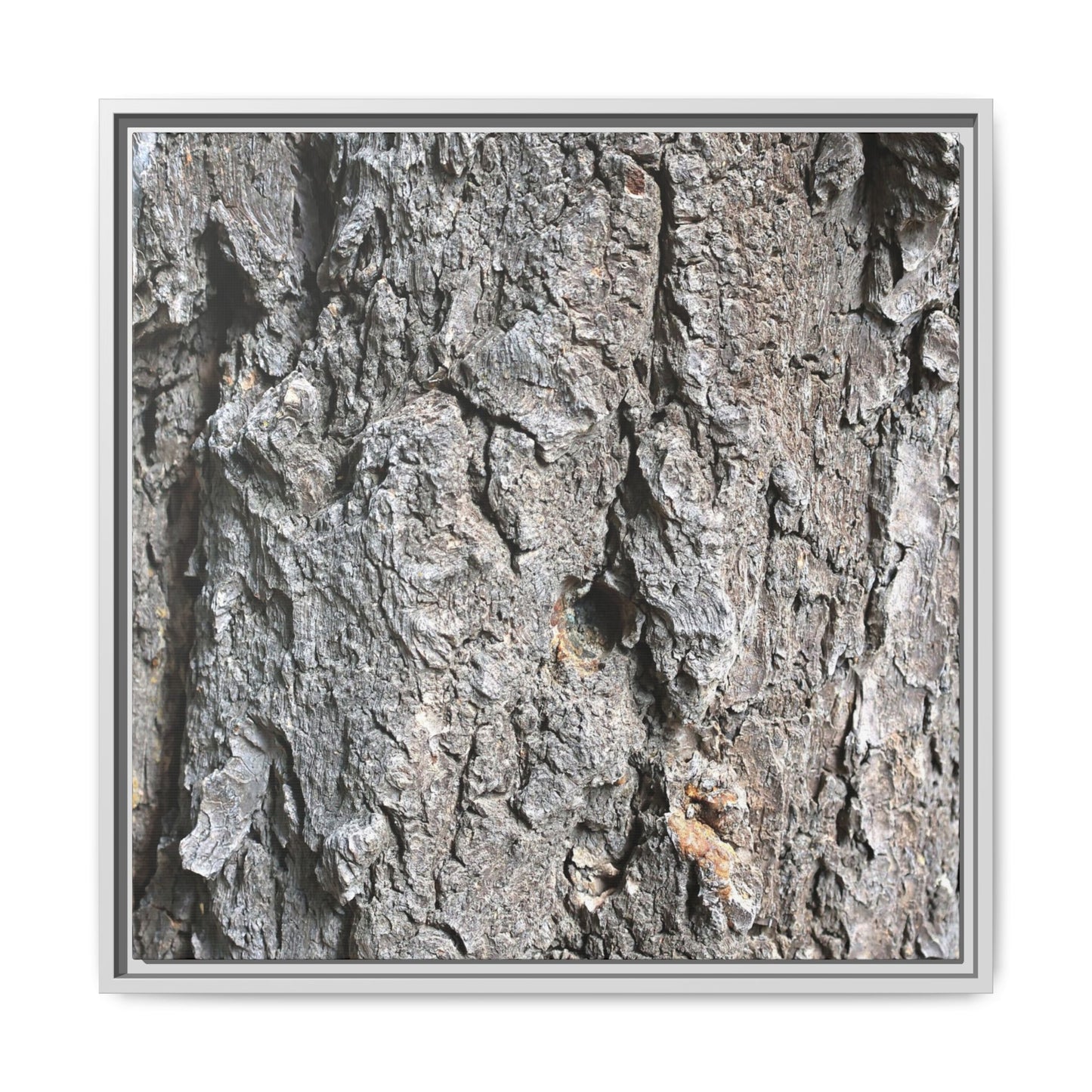 Crusty Exterior - Unique Stretched Canvas Wall Art