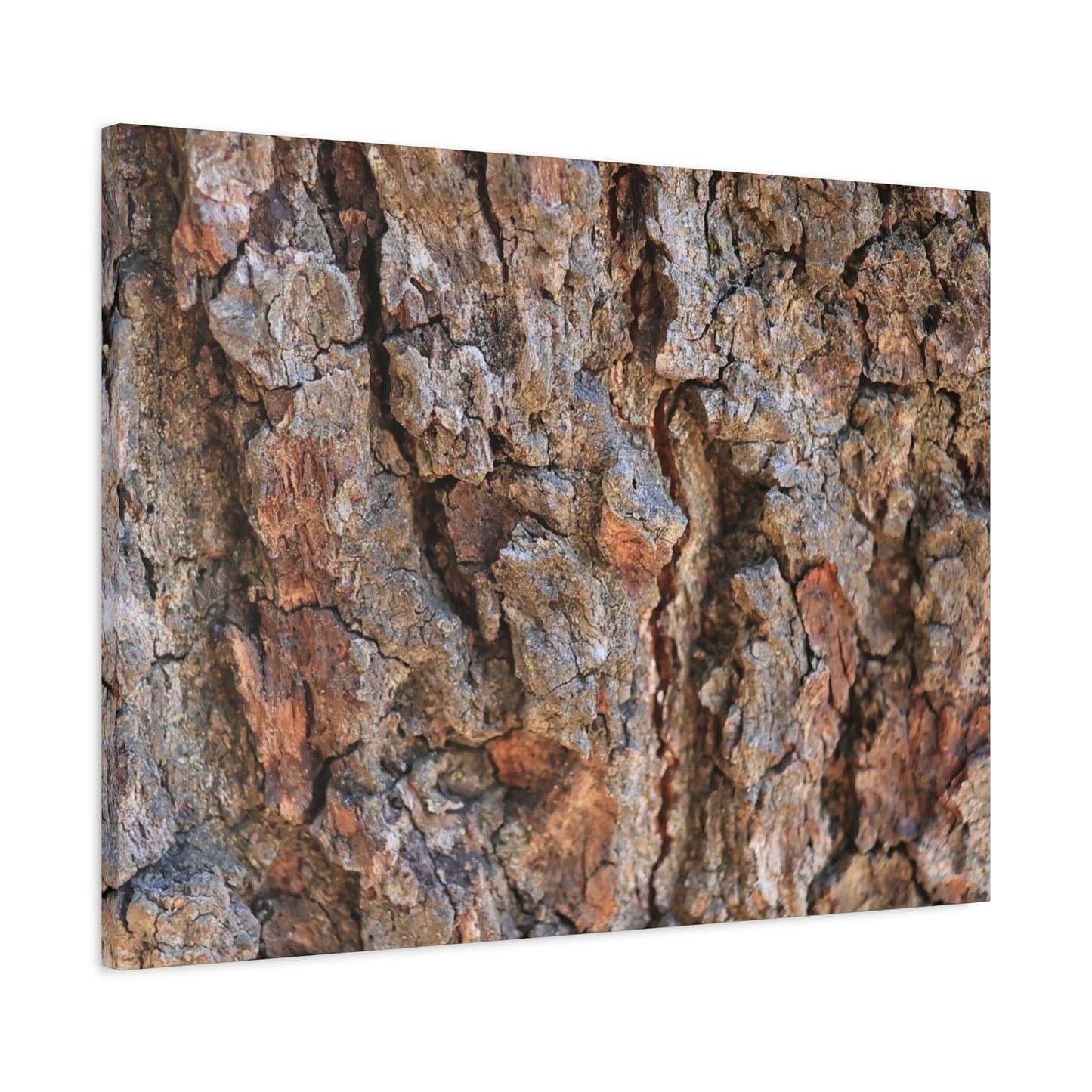 Roots of Time - Unique Frameless Canvas Wall Art
