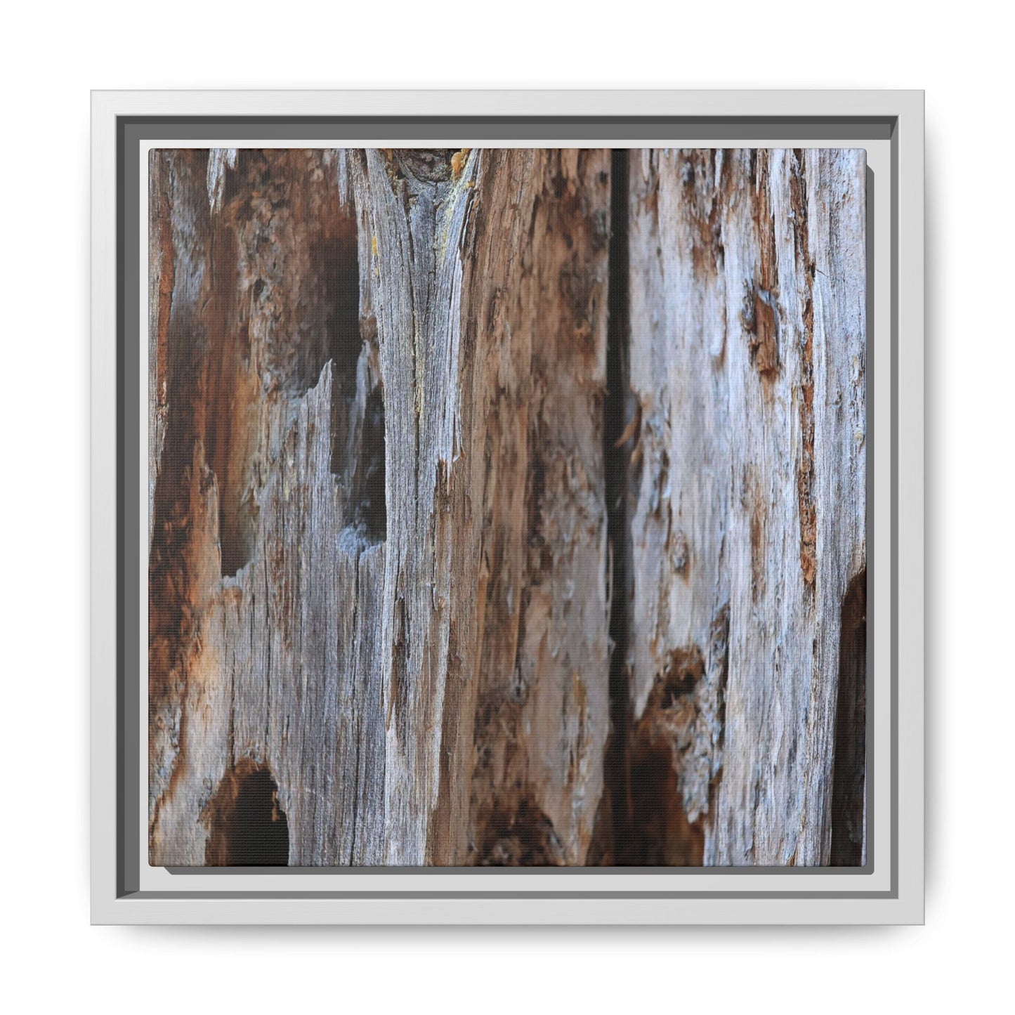 Decaying Splendor - Unique Stretched Canvas Wall Art