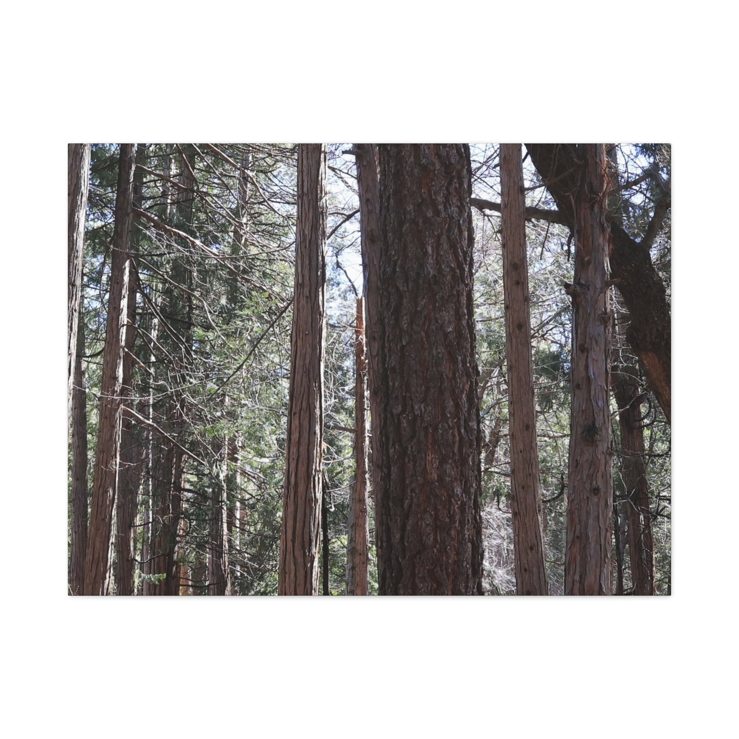 Vertical Sentinels - Unique Frameless Canvas Wall Art
