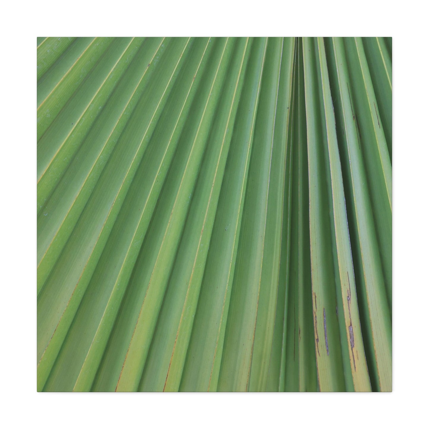 Palm Pulse - Unique Frameless Canvas Wall Art