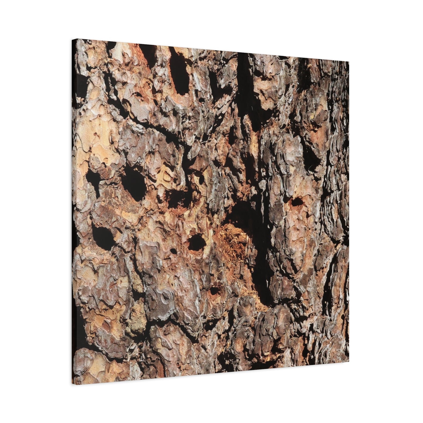 Tree Bark Mosaic - Unique Frameless Canvas Wall Art
