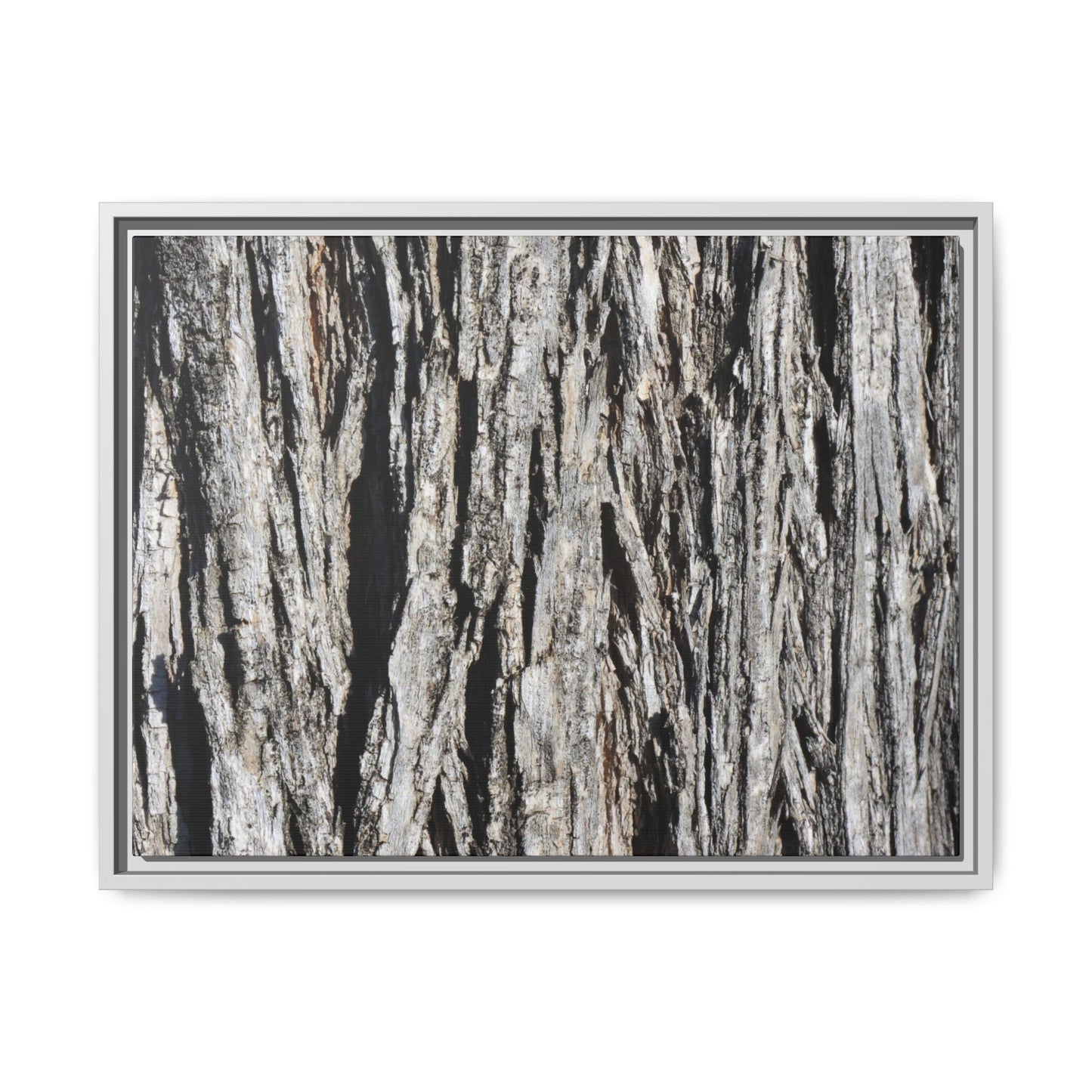 Nature's Abstract - Unique Stretched Canvas Wall Art