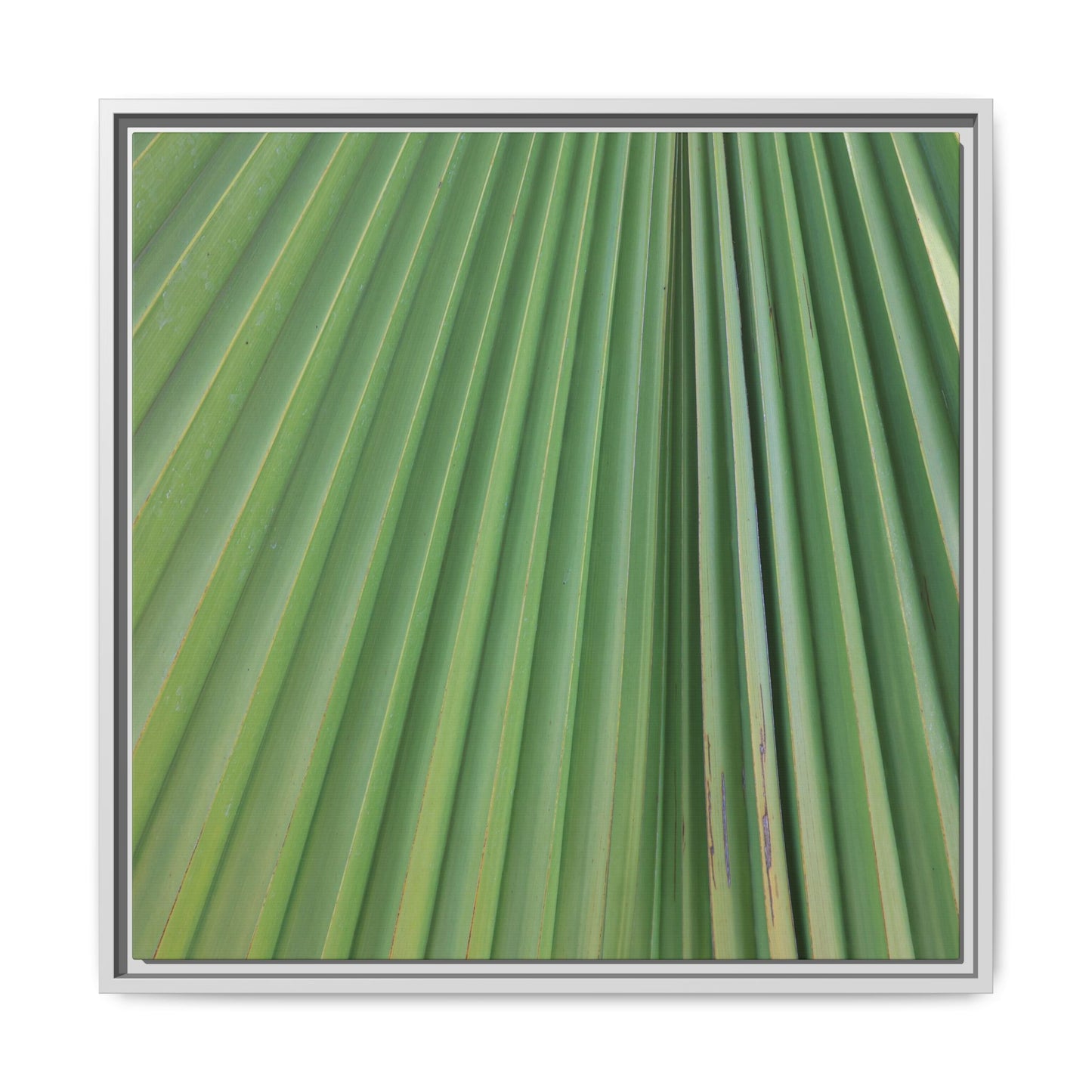 Emerald Rays - Unique Stretched Canvas Wall Art
