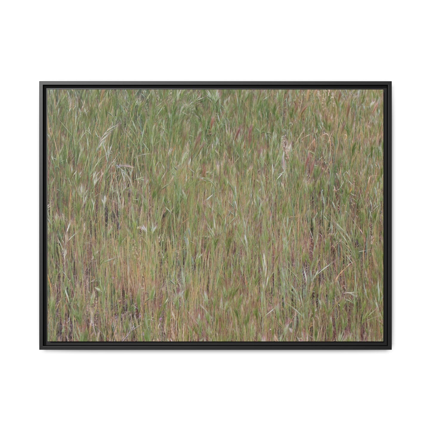 Field of Dreams - Unique Stretched Canvas Wall Art