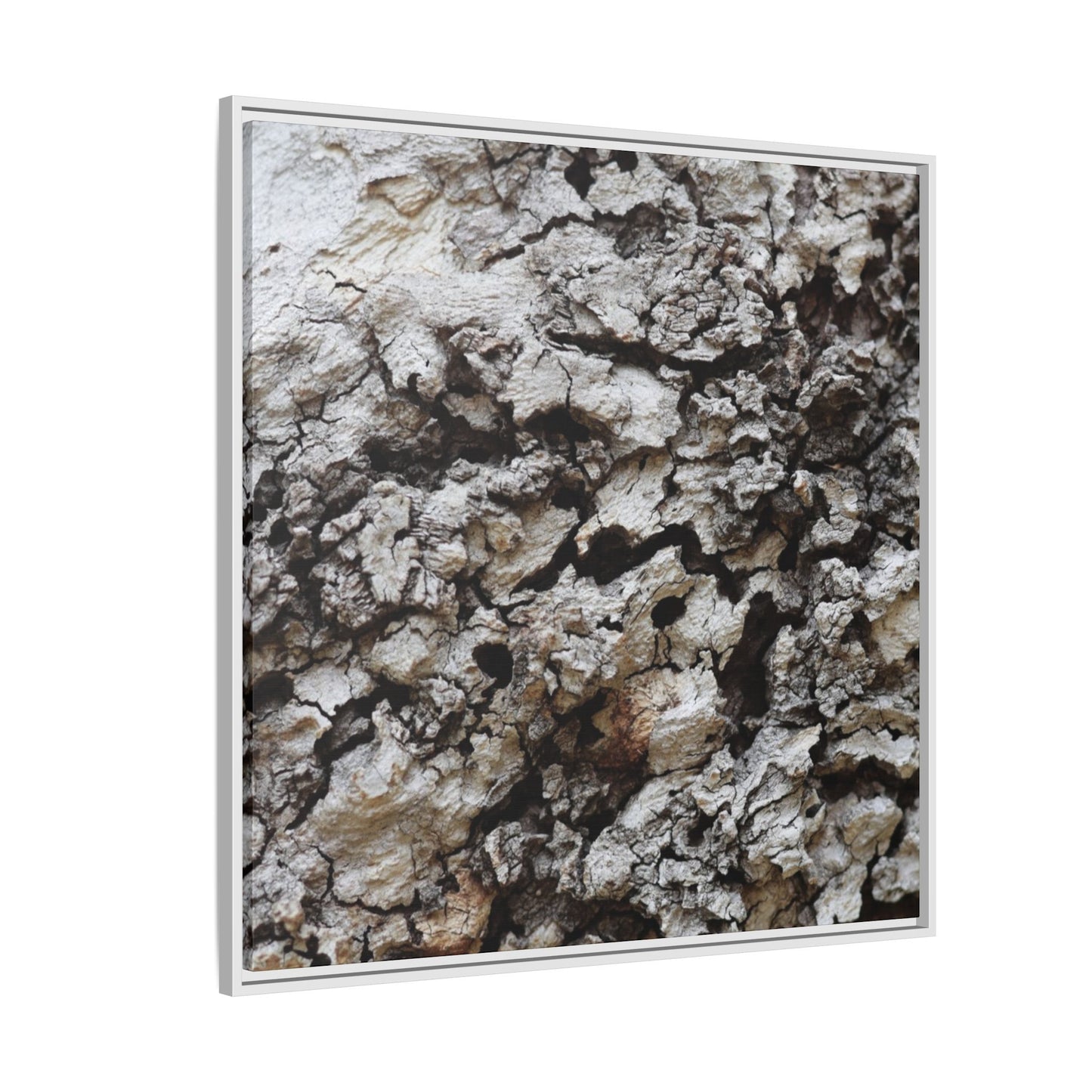 Cracked Terrain - Unique Stretched Canvas Wall Art