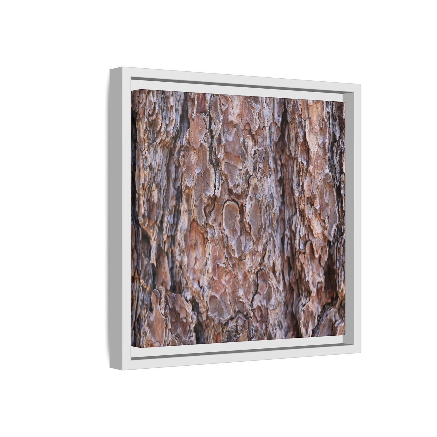 Woody Layers - Unique Stretched Canvas Wall Art