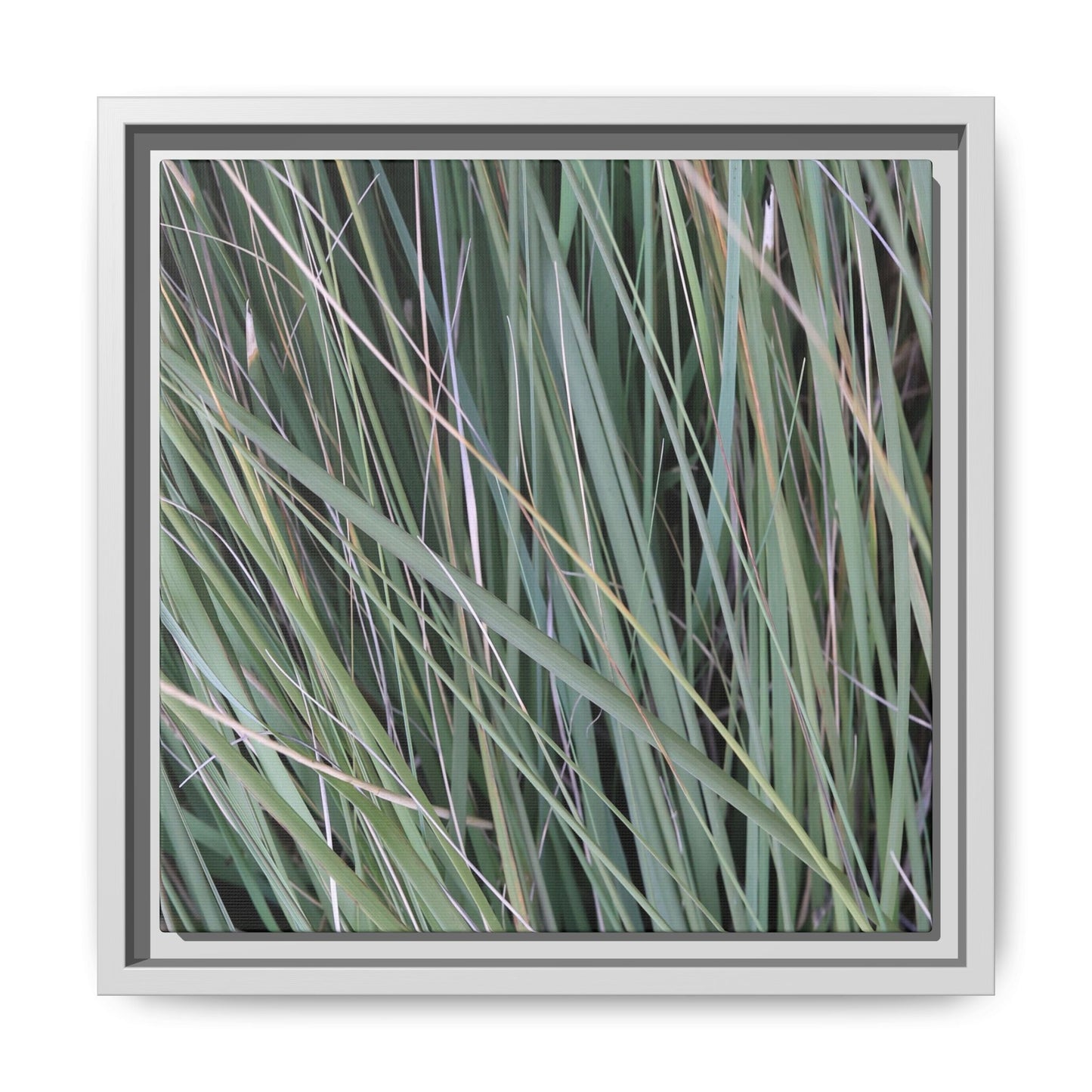 Grassland Symphony - Unique Stretched Canvas Wall Art