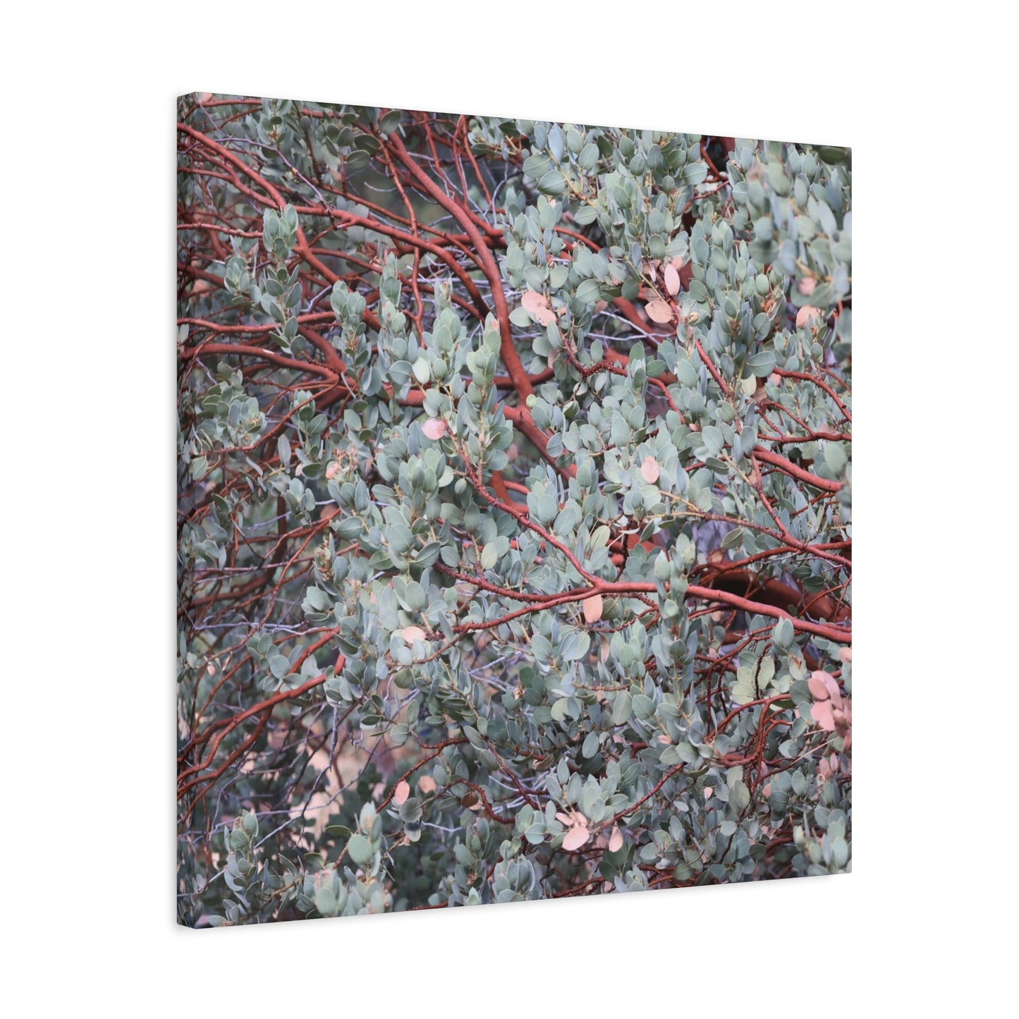 Whispers of Silver and Rust - Unique Frameless Canvas Wall Art