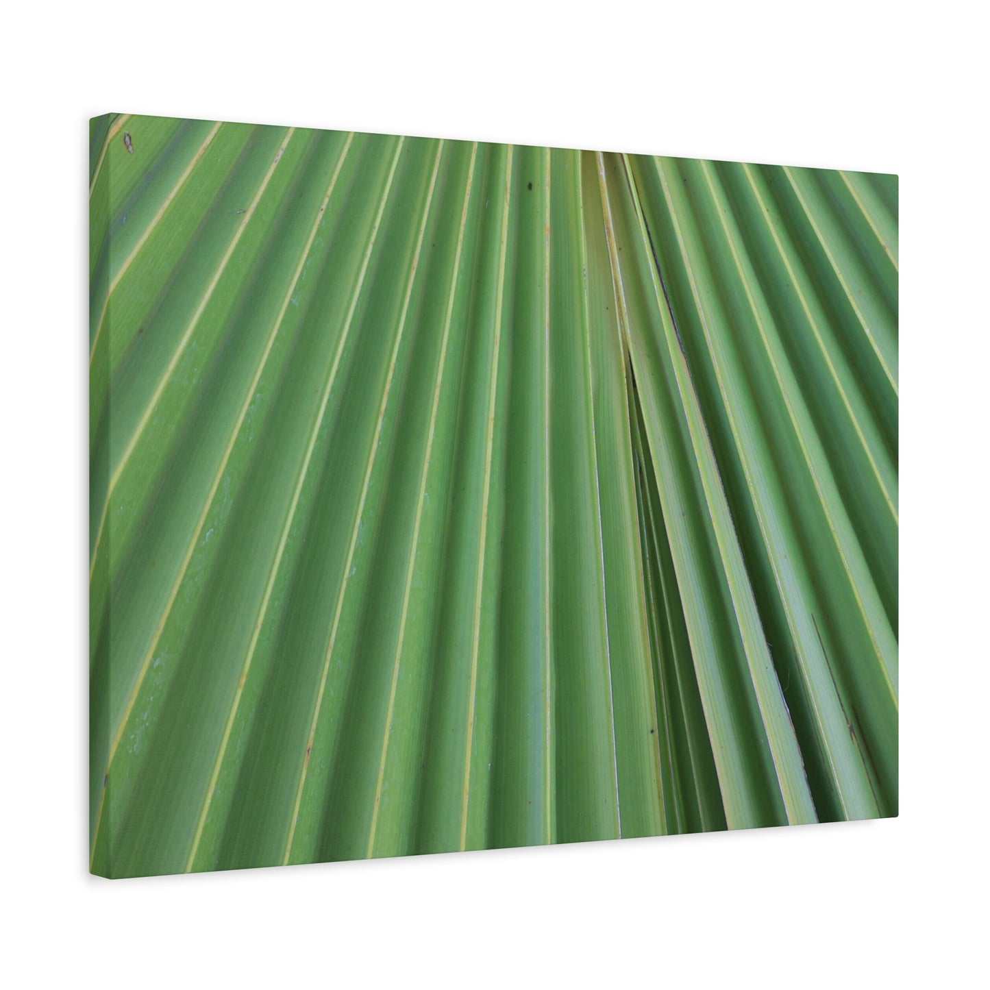 Fan of Green - Unique Frameless Canvas Wall Art