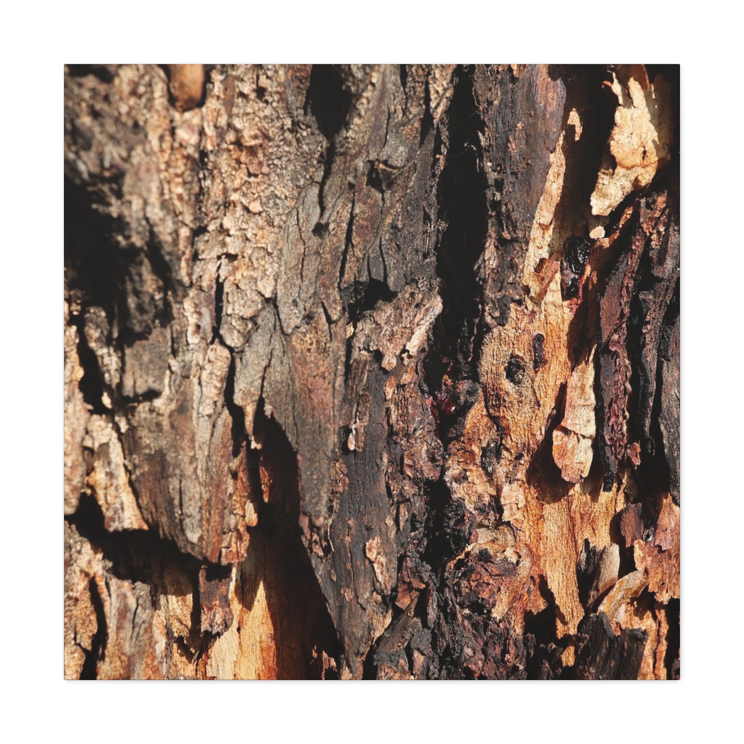 Wooden Terrain - Unique Frameless Canvas Wall Art