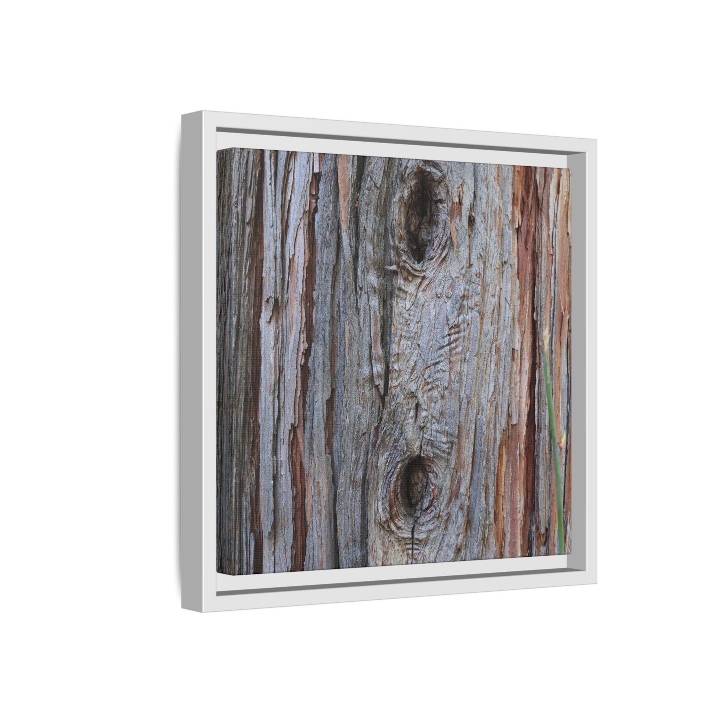 Knotty Nature - Unique Stretched Canvas Wall Art