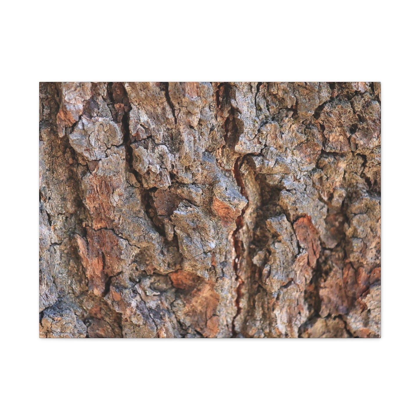 Roots of Time - Unique Frameless Canvas Wall Art