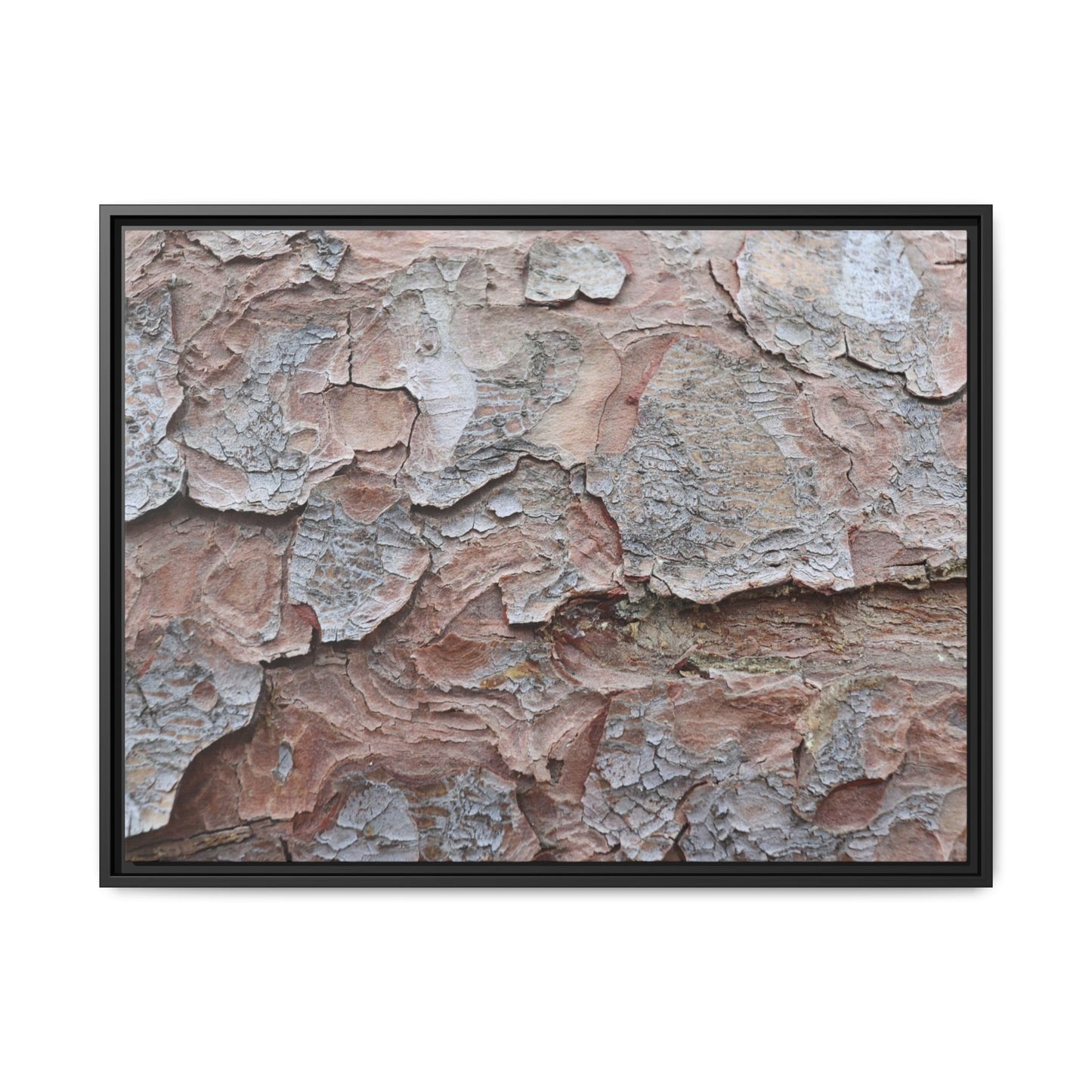 Flaking Serenity - Unique Stretched Canvas Wall Art