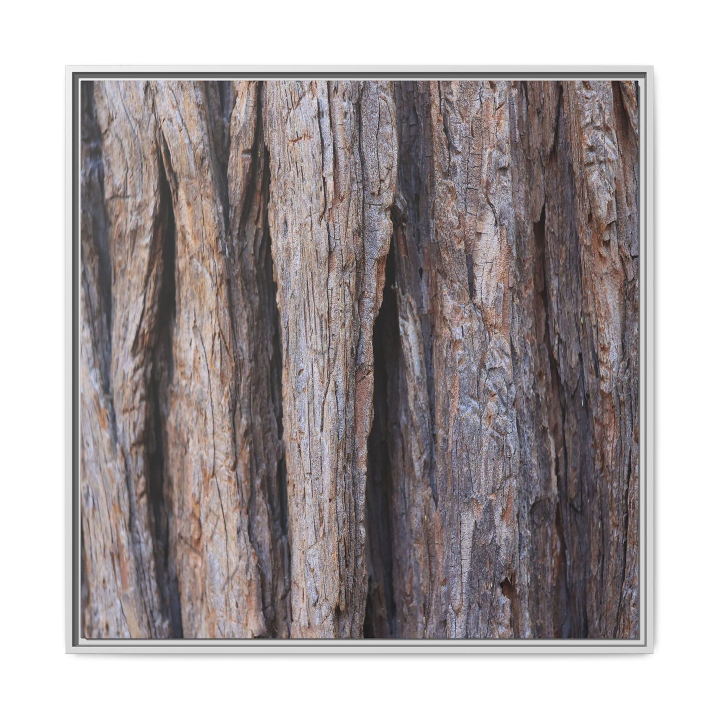 Ancient Grains - Unique Stretched Canvas Wall Art