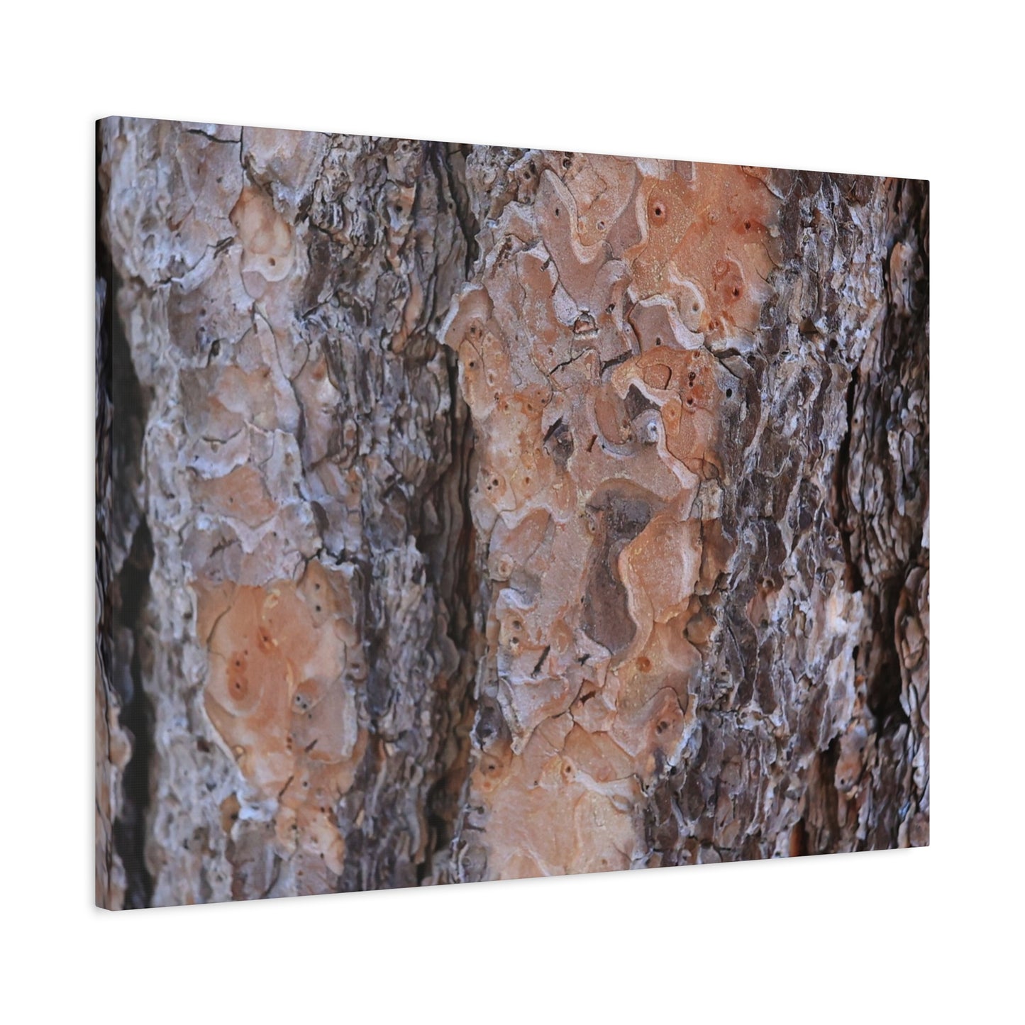 Terracotta Textures - Unique Frameless Canvas Wall Art