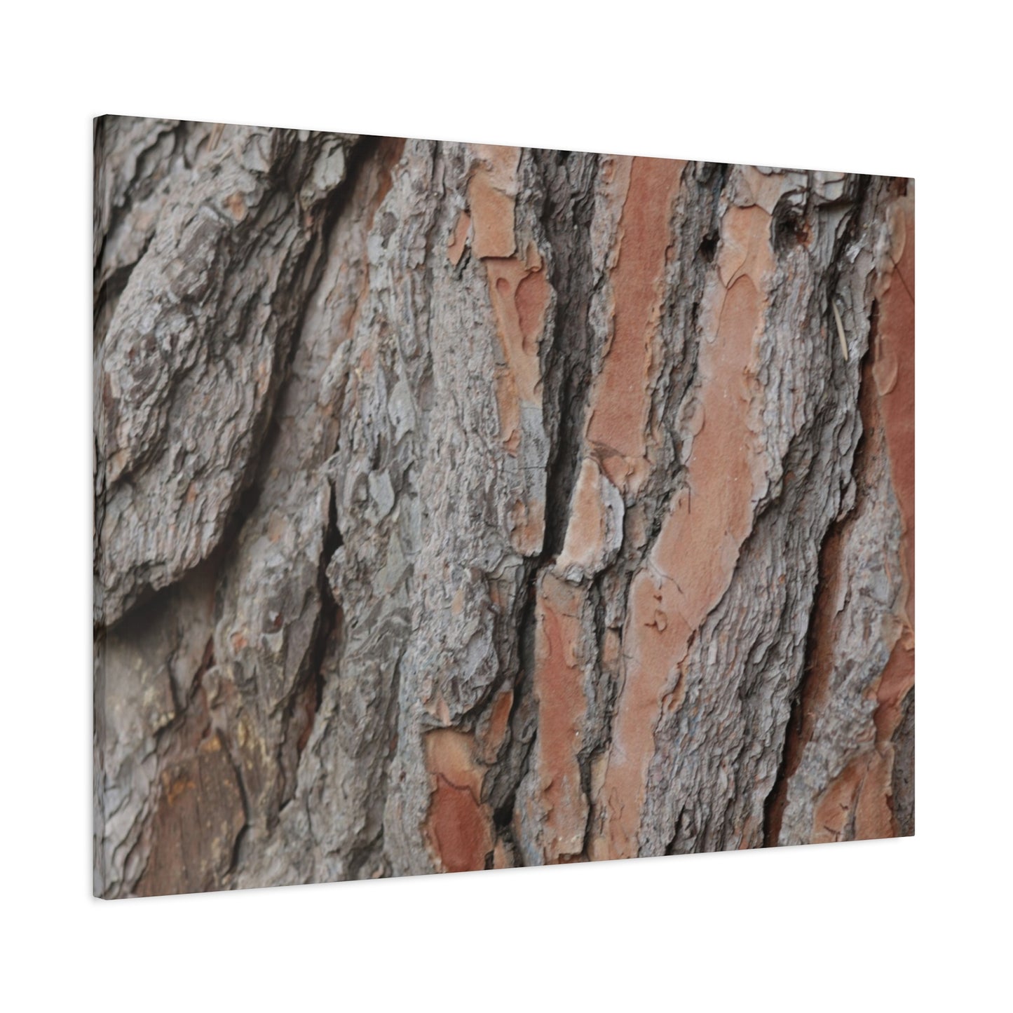 Fractal Landscape - Unique Frameless Canvas Wall Art
