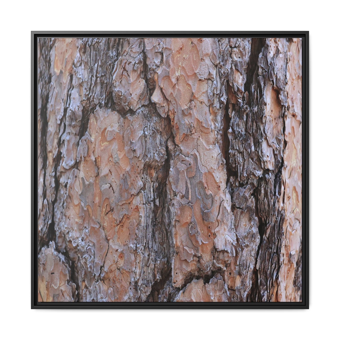 Tree Skin Symphony - Unique Stretched Canvas Wall Art