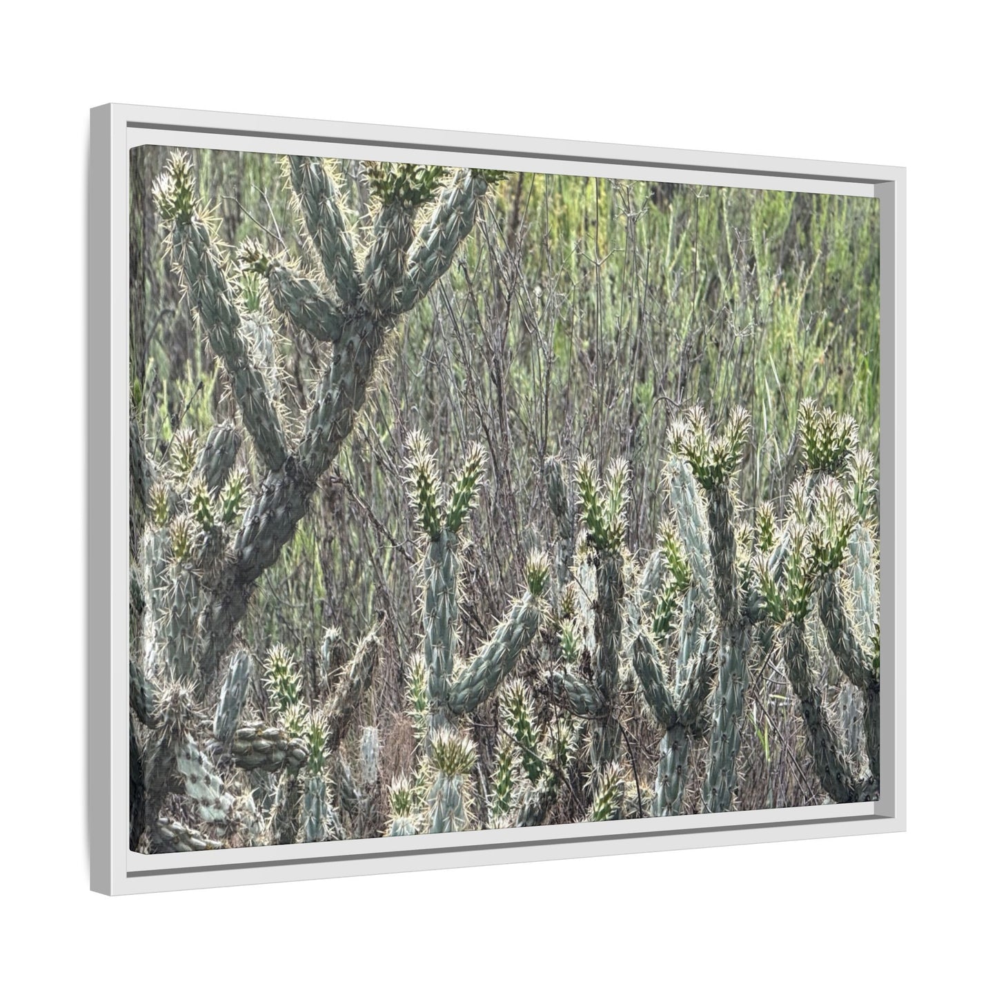 Prickly Paradise - Unique Stretched Canvas Wall Art
