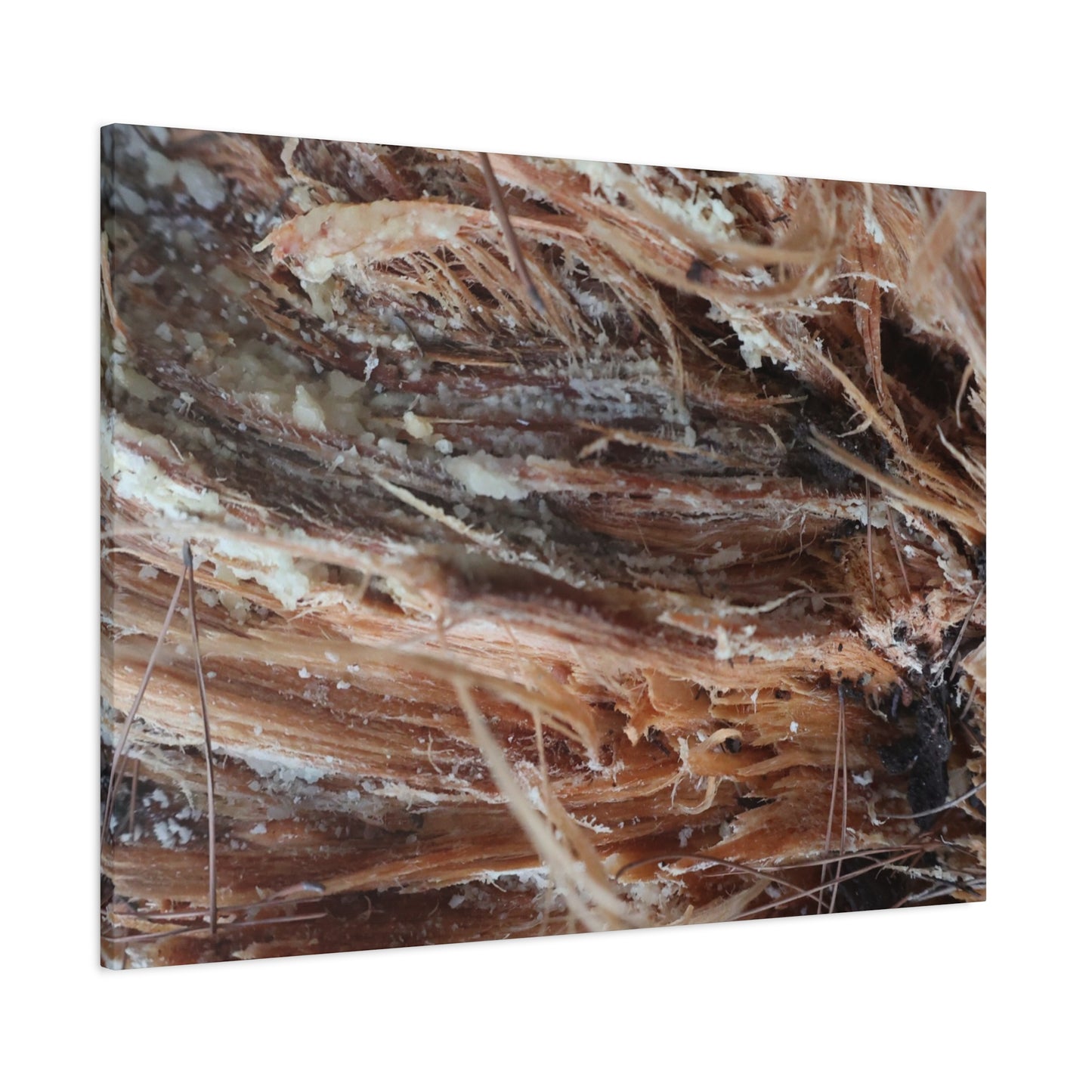 Decaying Whispers - Unique Frameless Canvas Wall Art