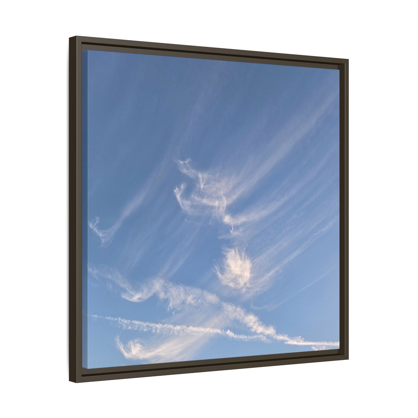 Wispy Dreams - Unique Stretched Canvas Wall Art