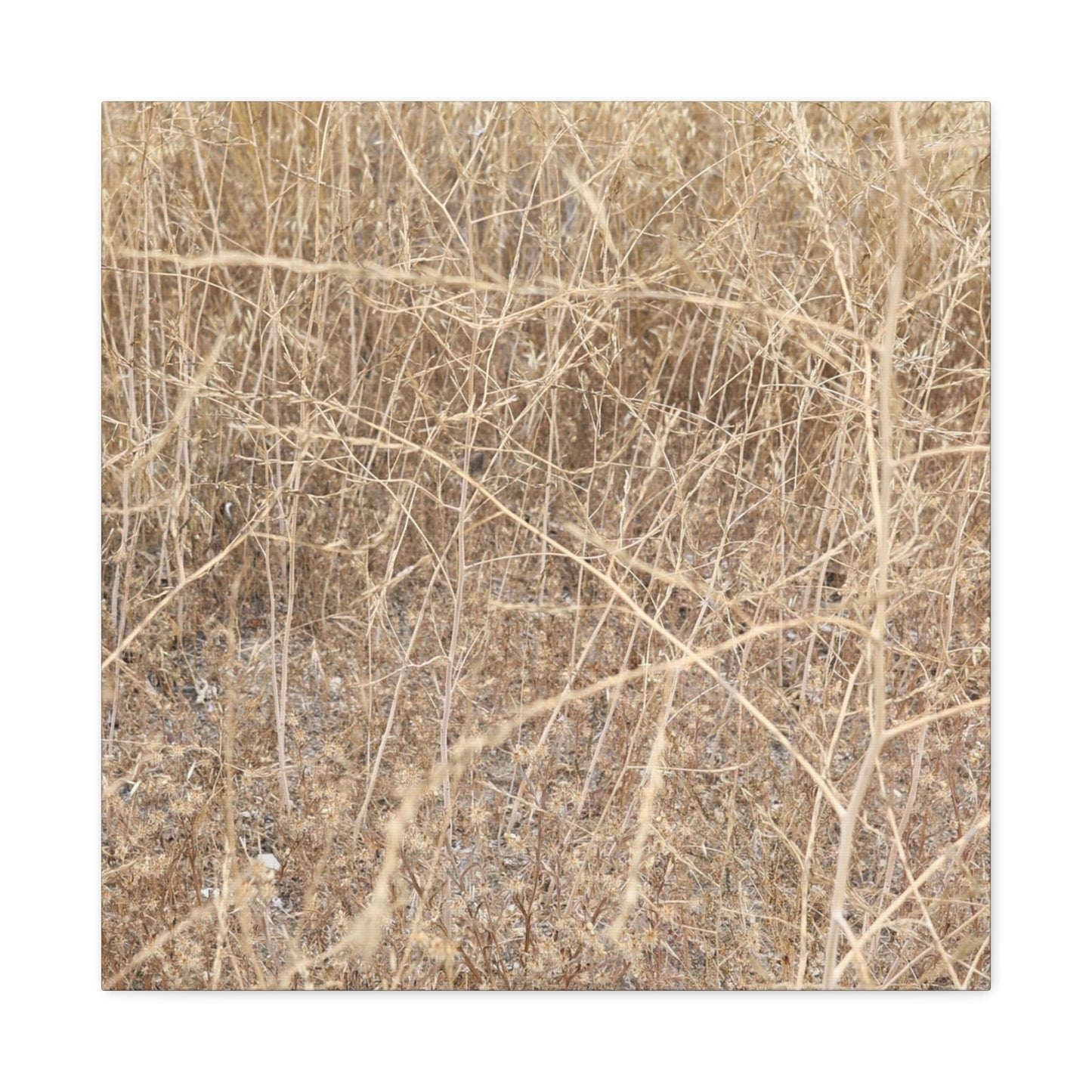 Dry Echoes - Unique Frameless Canvas Wall Art