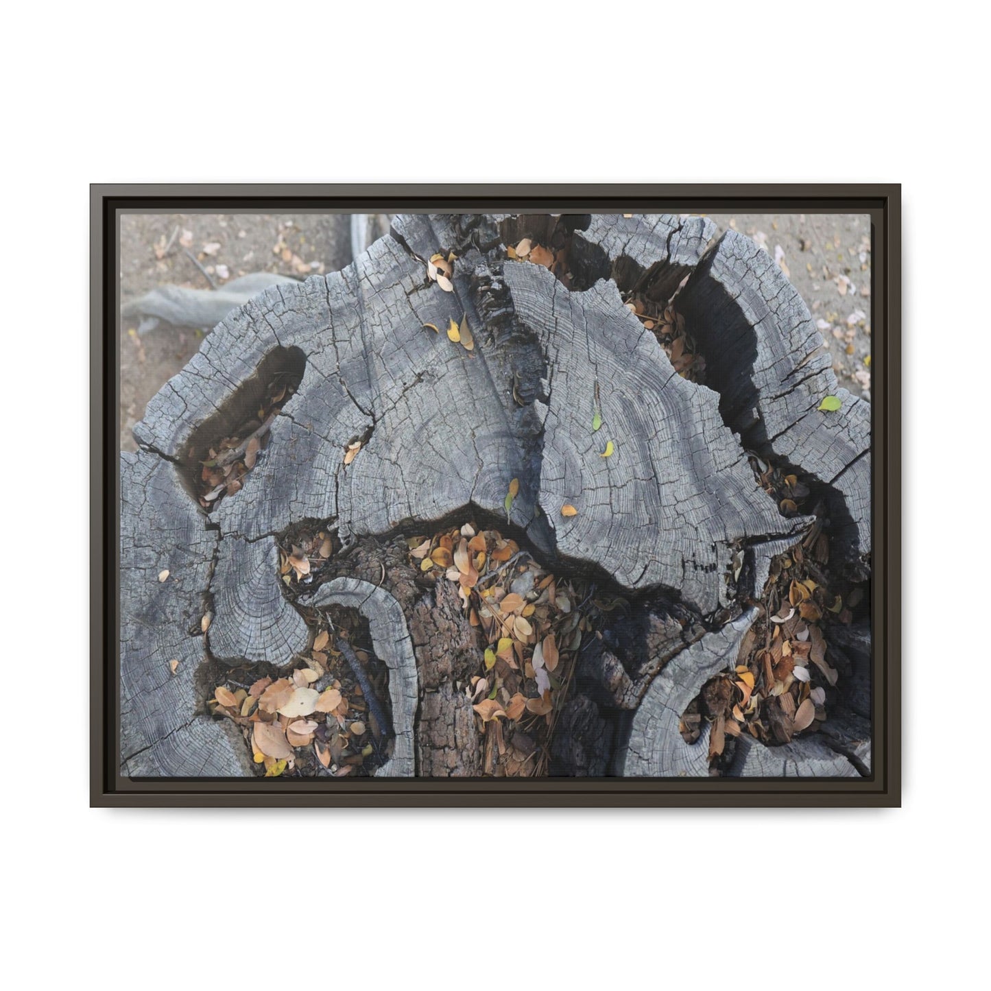 Time's Fractal Memory - Unique Stretched Canvas Wall Art