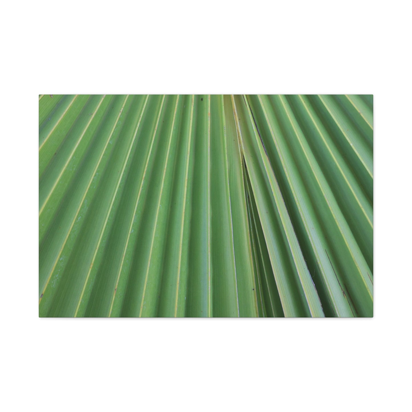 Fan of Green - Unique Frameless Canvas Wall Art