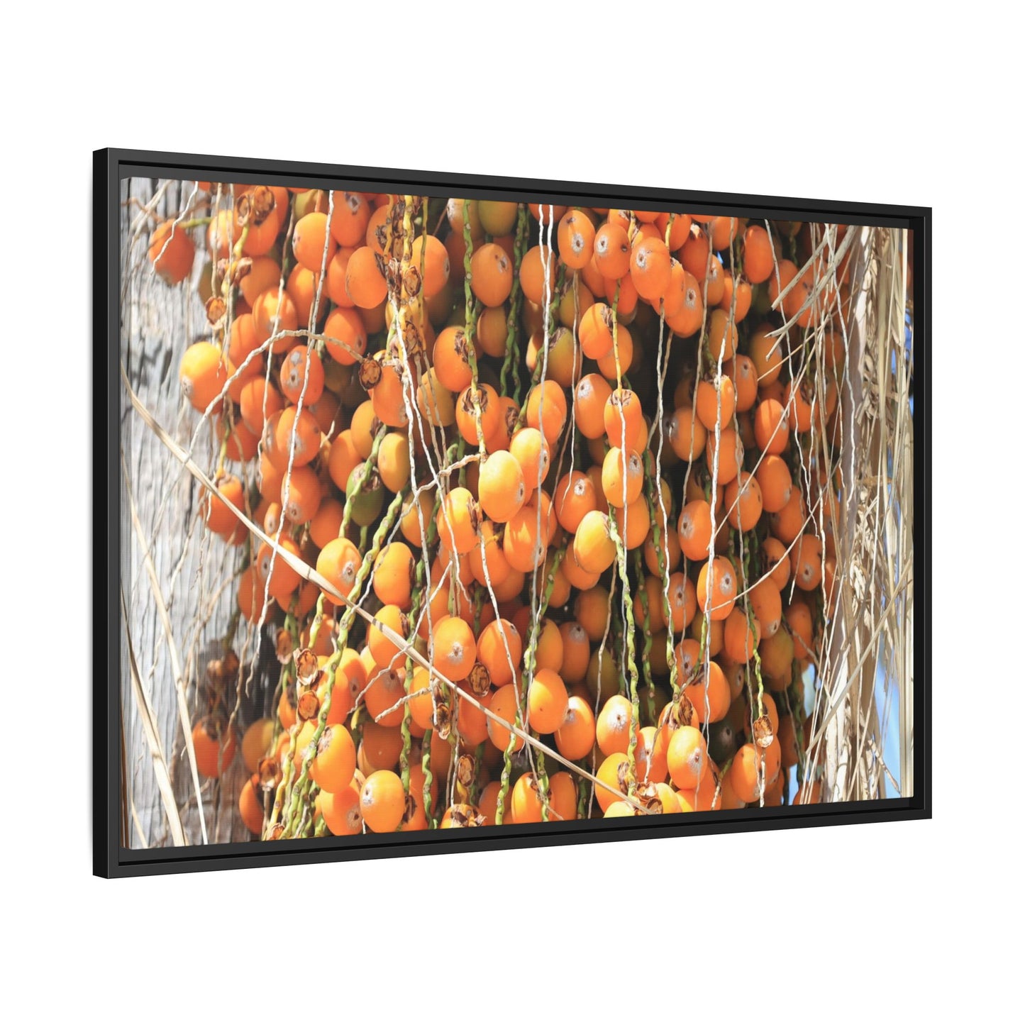 Clusters of Sunlight - Unique Canvas Wall Art