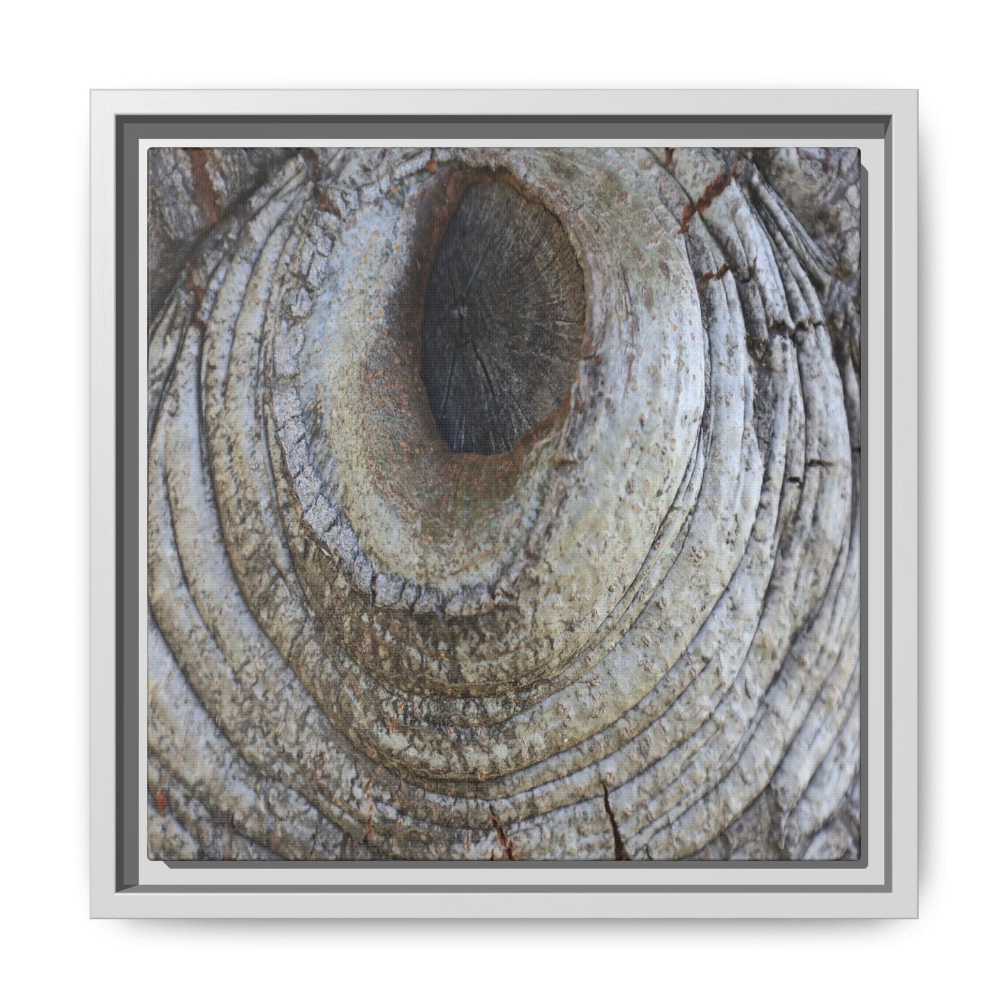 Echoes of Time - Unique Stretched Canvas Wall Art