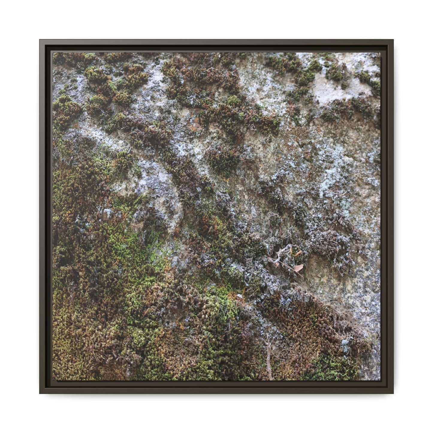 Mossy Whispers - Unique Stretched Canvas Wall Art