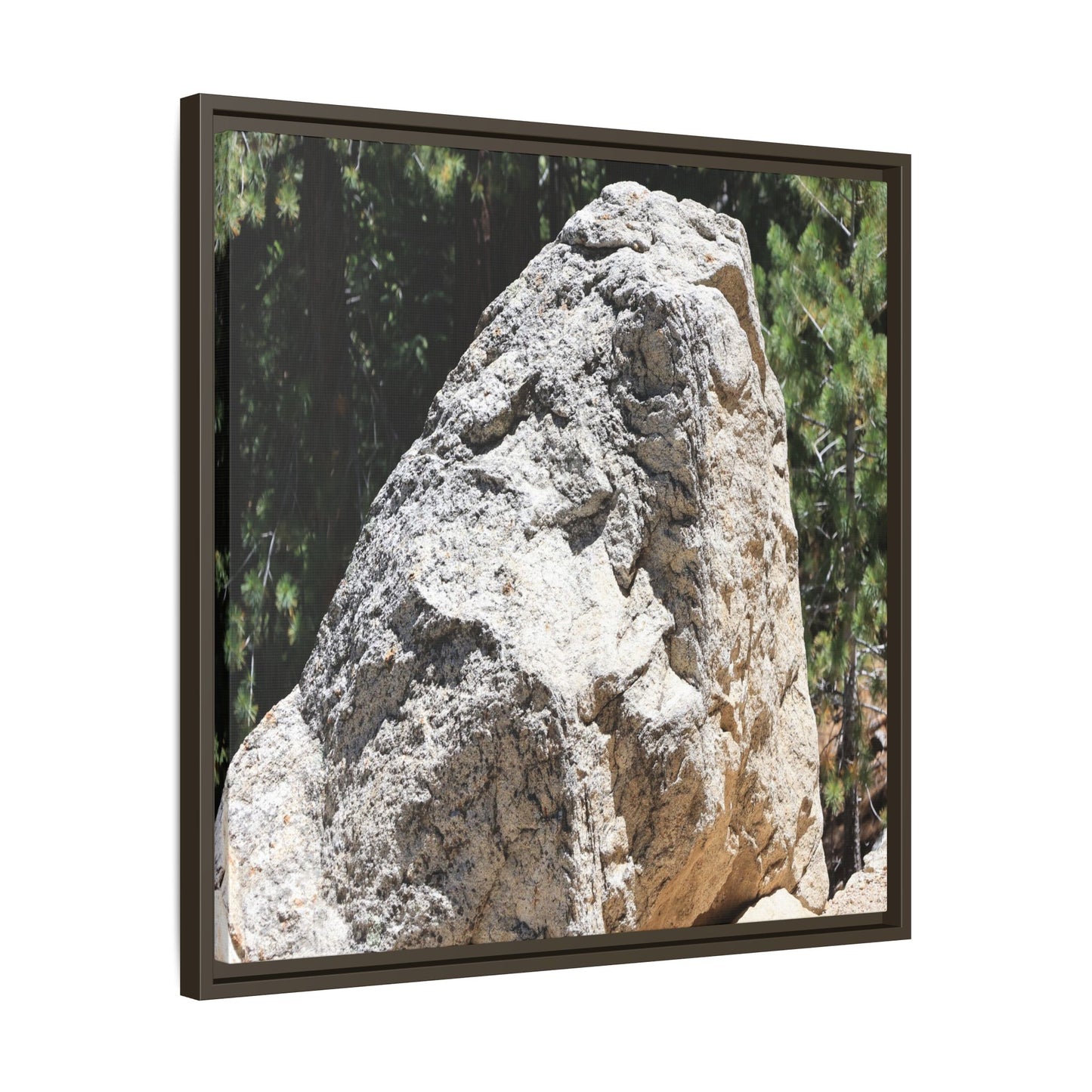 Stone's Silent Whisper - Unique Stretched Canvas Wall Art