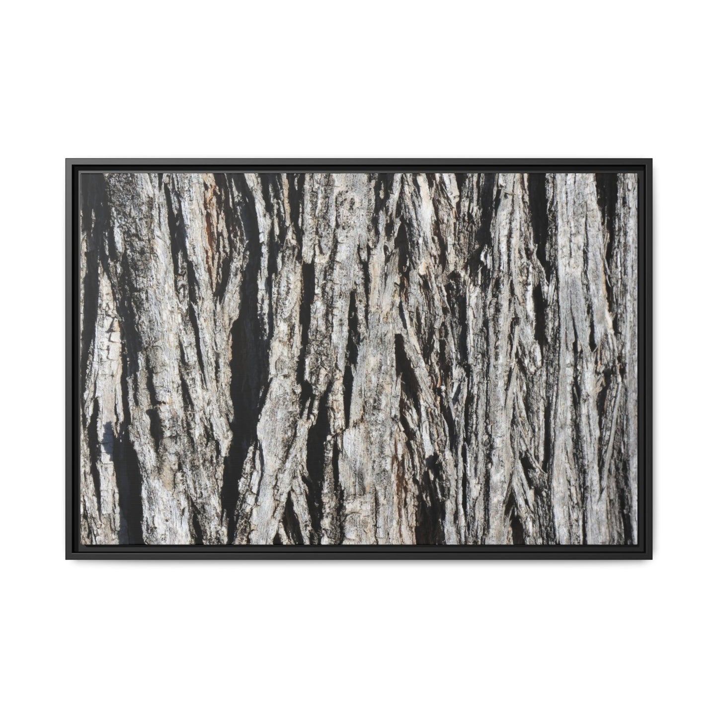 Nature's Abstract - Unique Stretched Canvas Wall Art