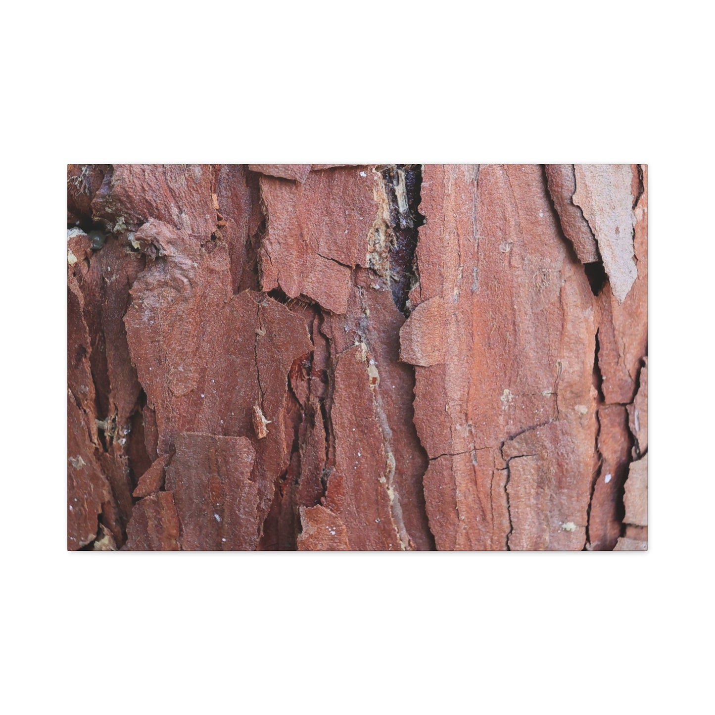Crimson Fissures - Unique Frameless Canvas Wall Art