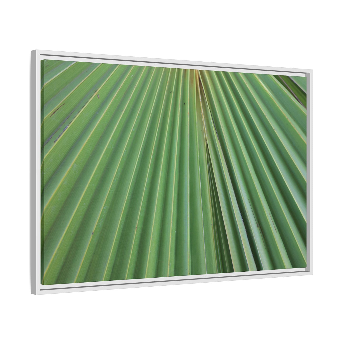 Verdant Veins - Unique Stretched Canvas Wall Art