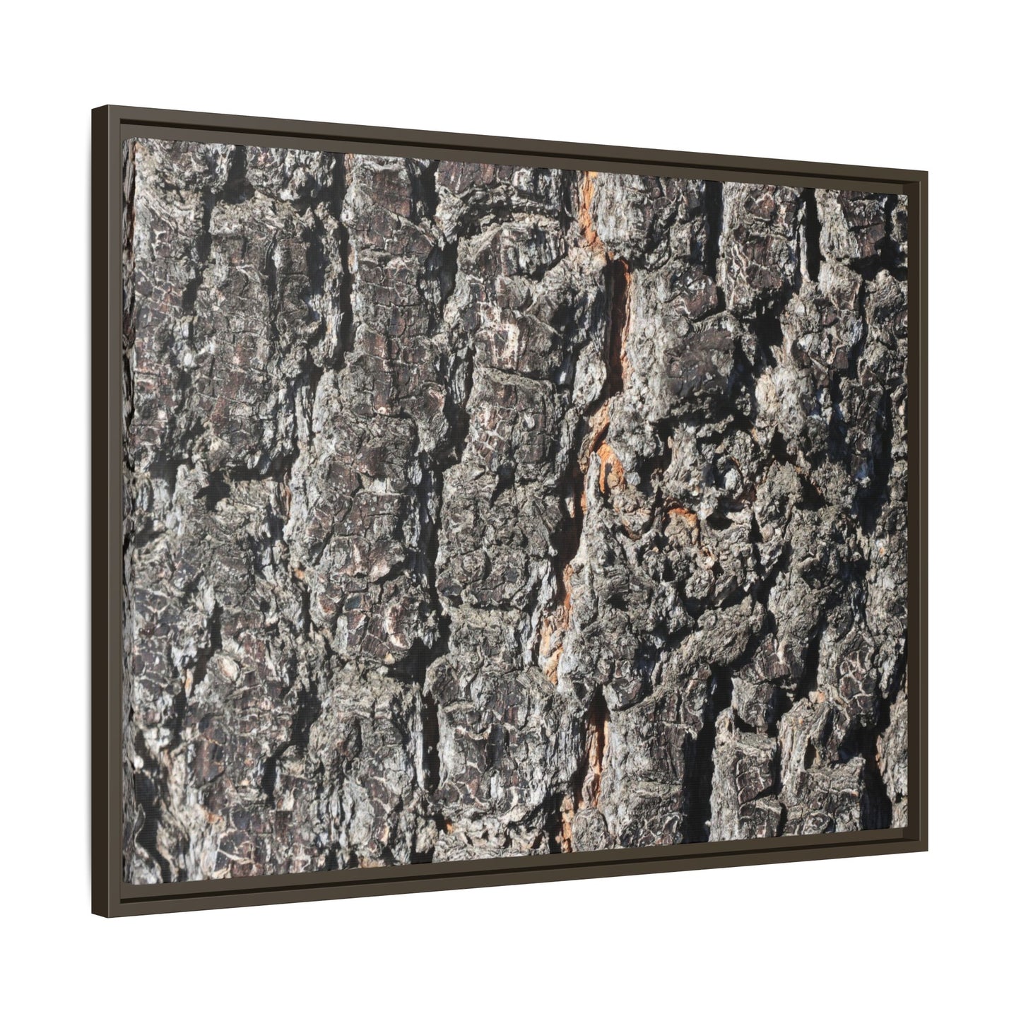 Aged Beauty - Unique Stretched Canvas Wall Art