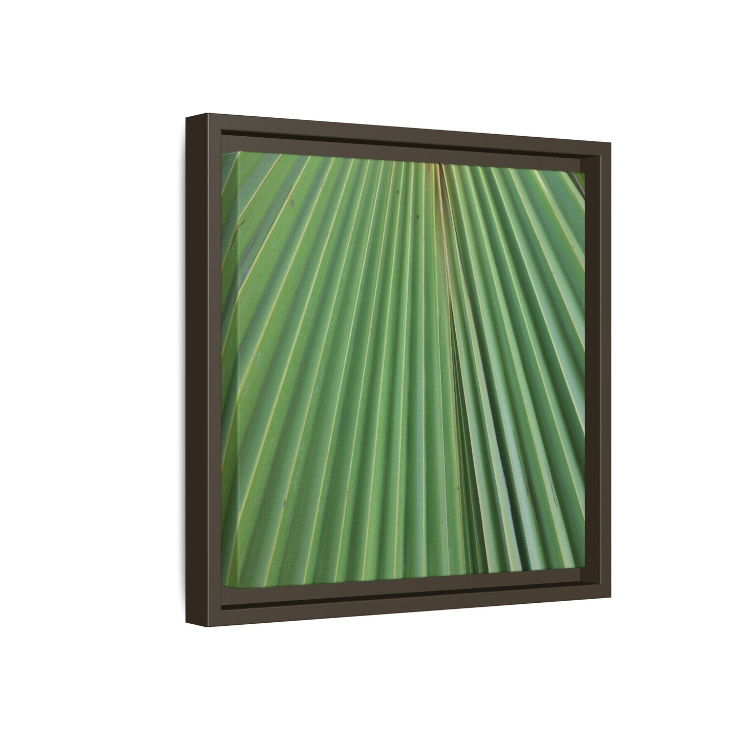Verdant Veins - Unique Stretched Canvas Wall Art
