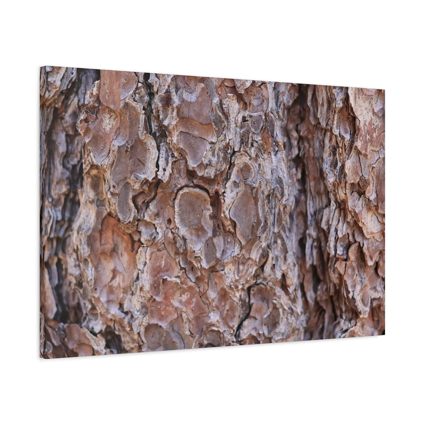 Rugged Bark Landscape - Unique Frameless Canvas Wall Art
